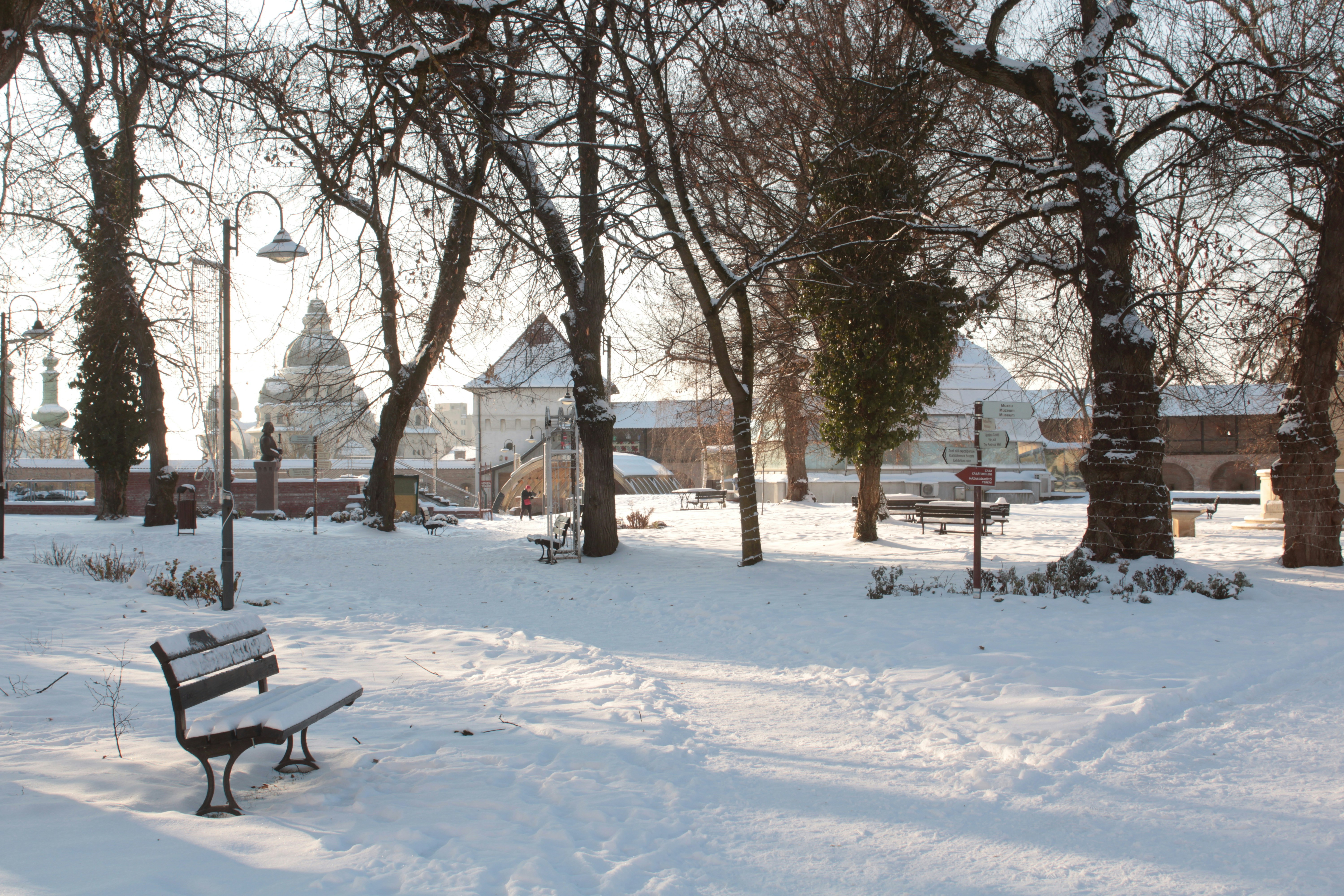 Photo by thorai9akira