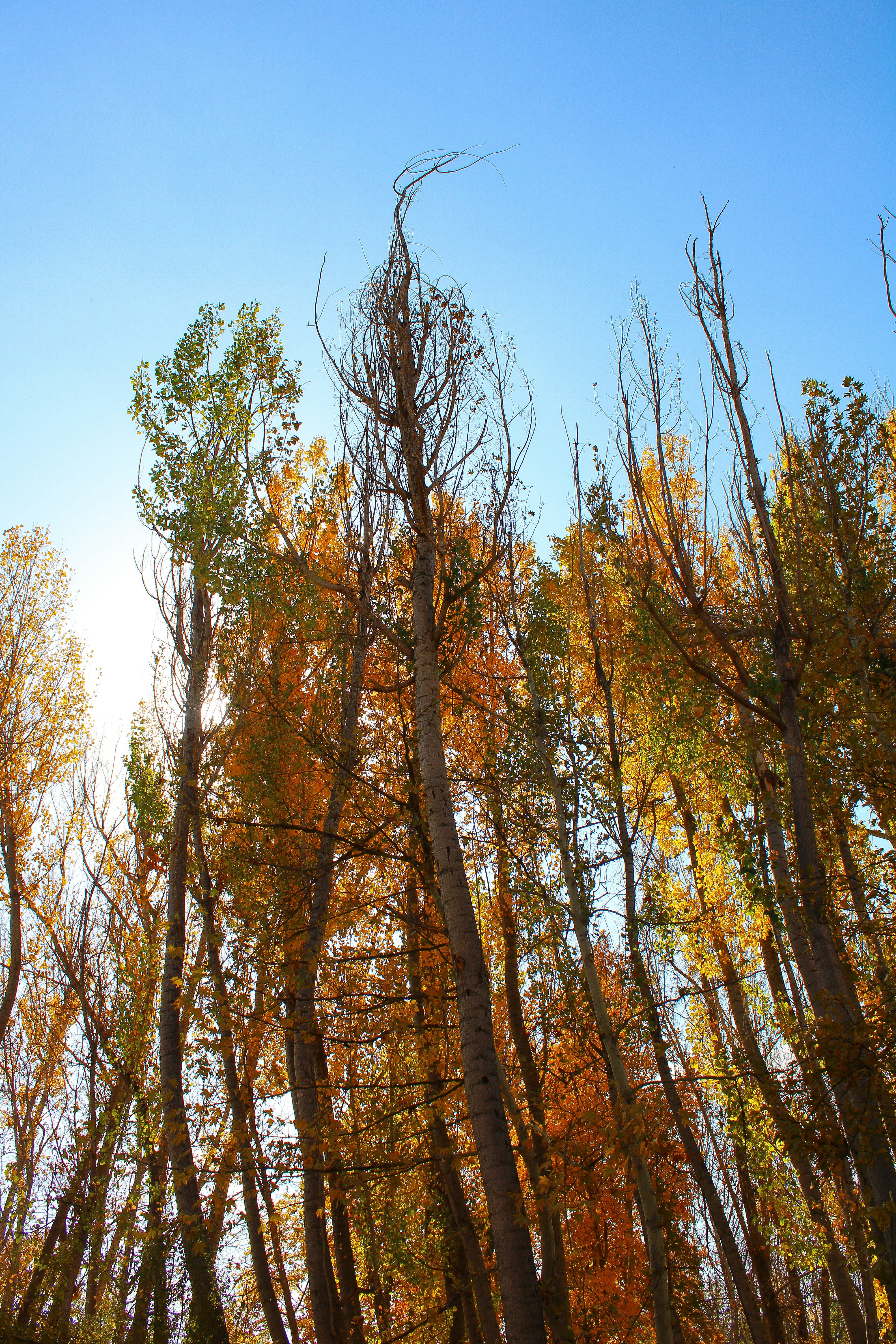 Photo by nouriehferdosian