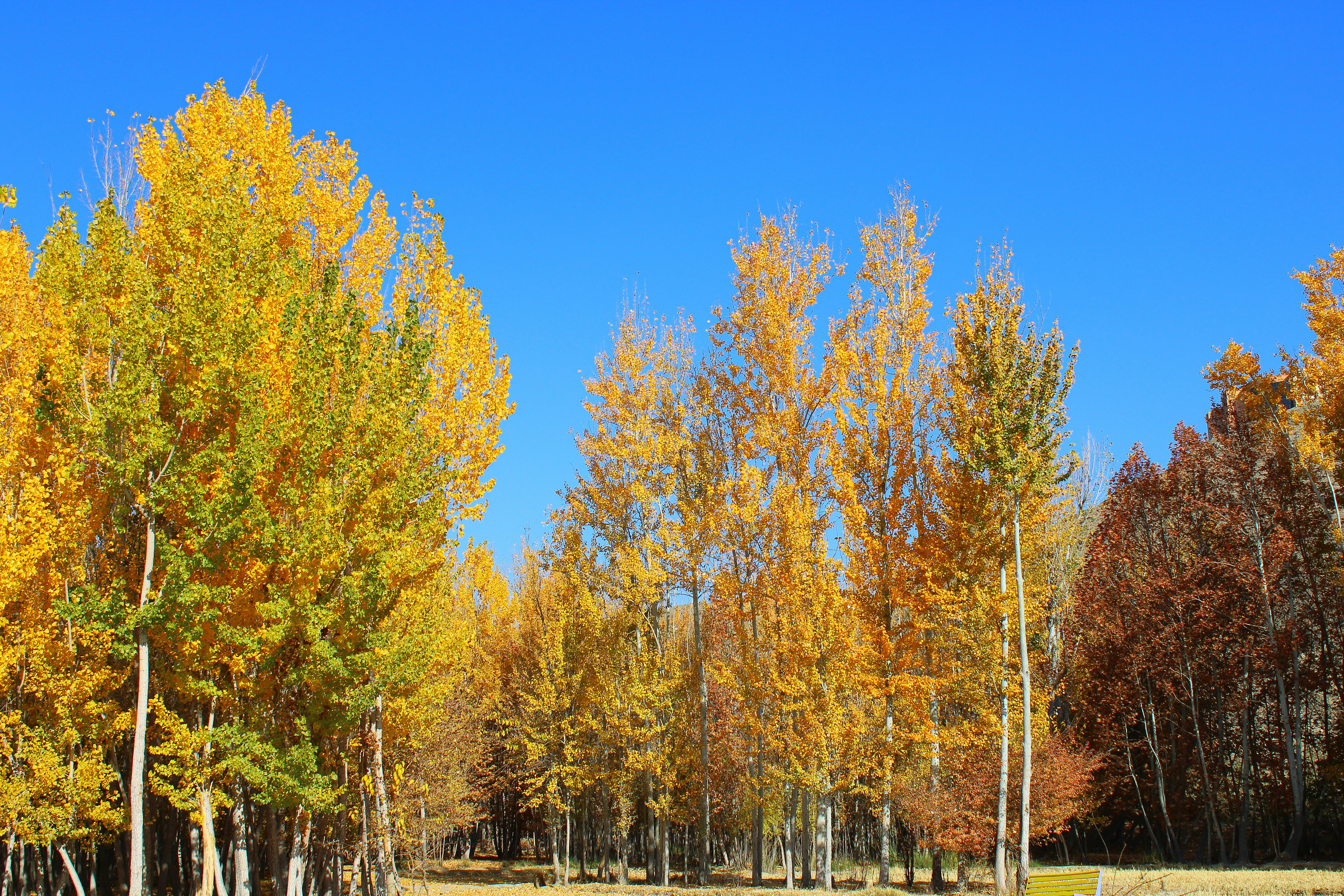 Photo by nouriehferdosian