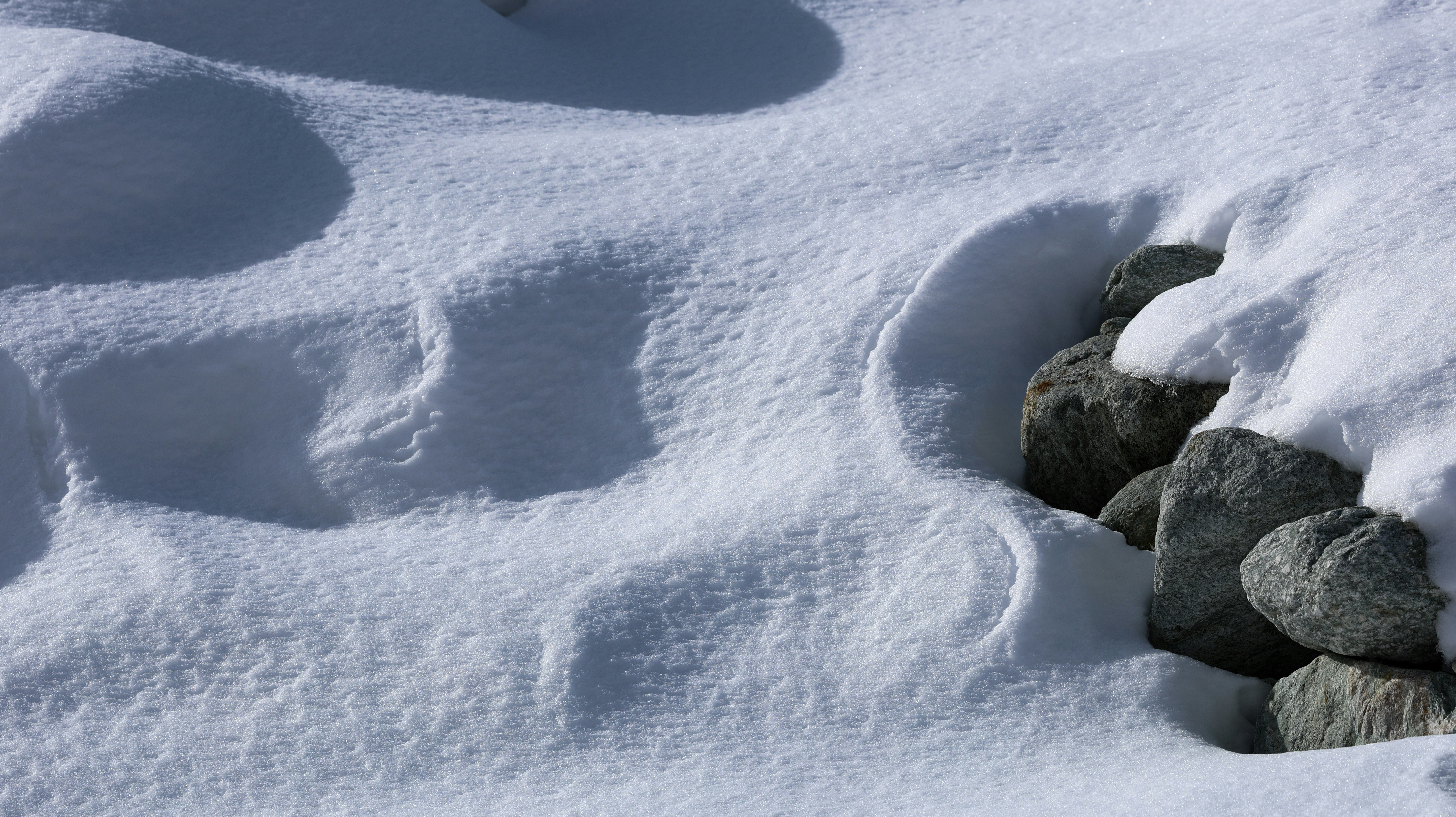 Photo by valomukitse