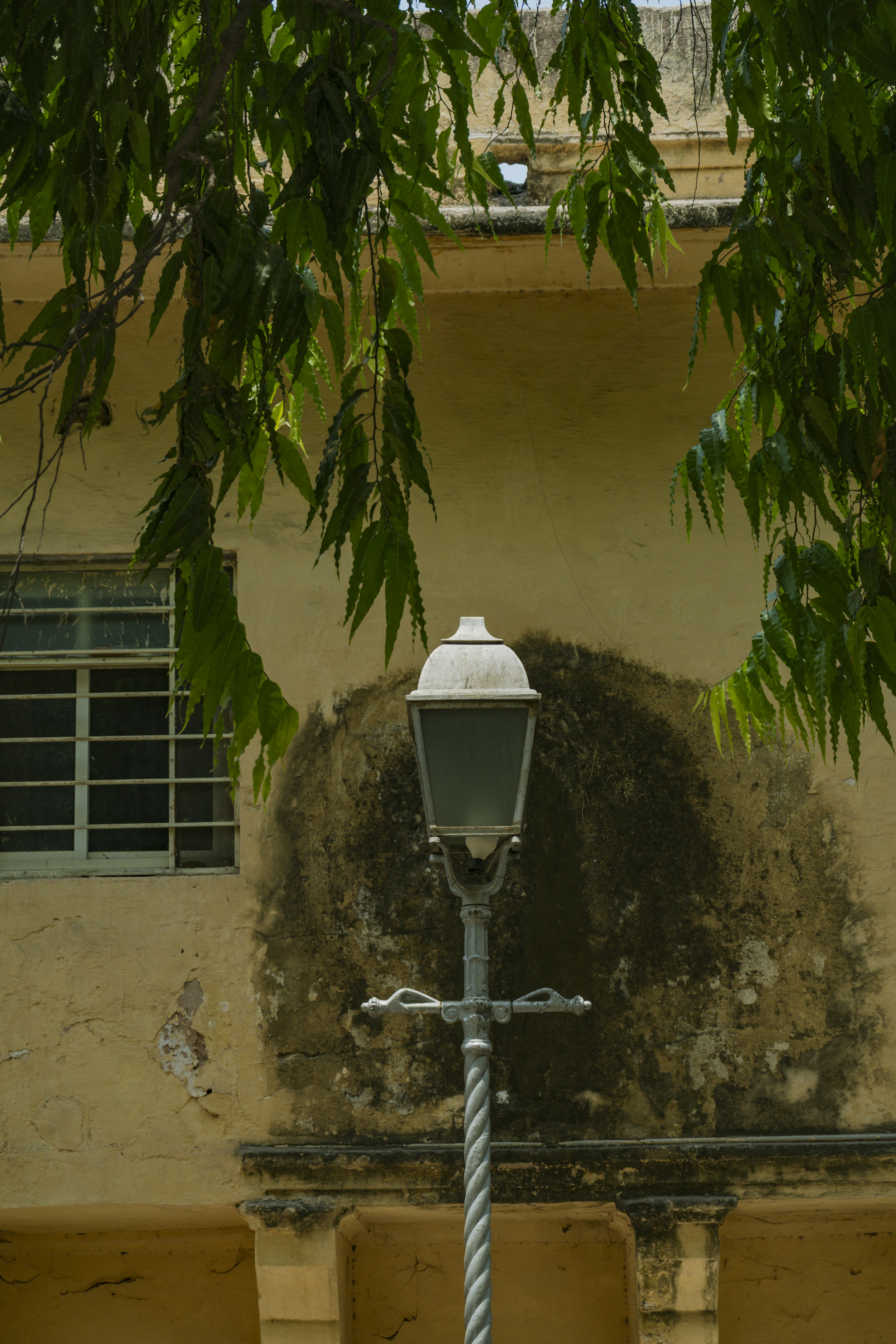 Photo by jayeshjoshi12