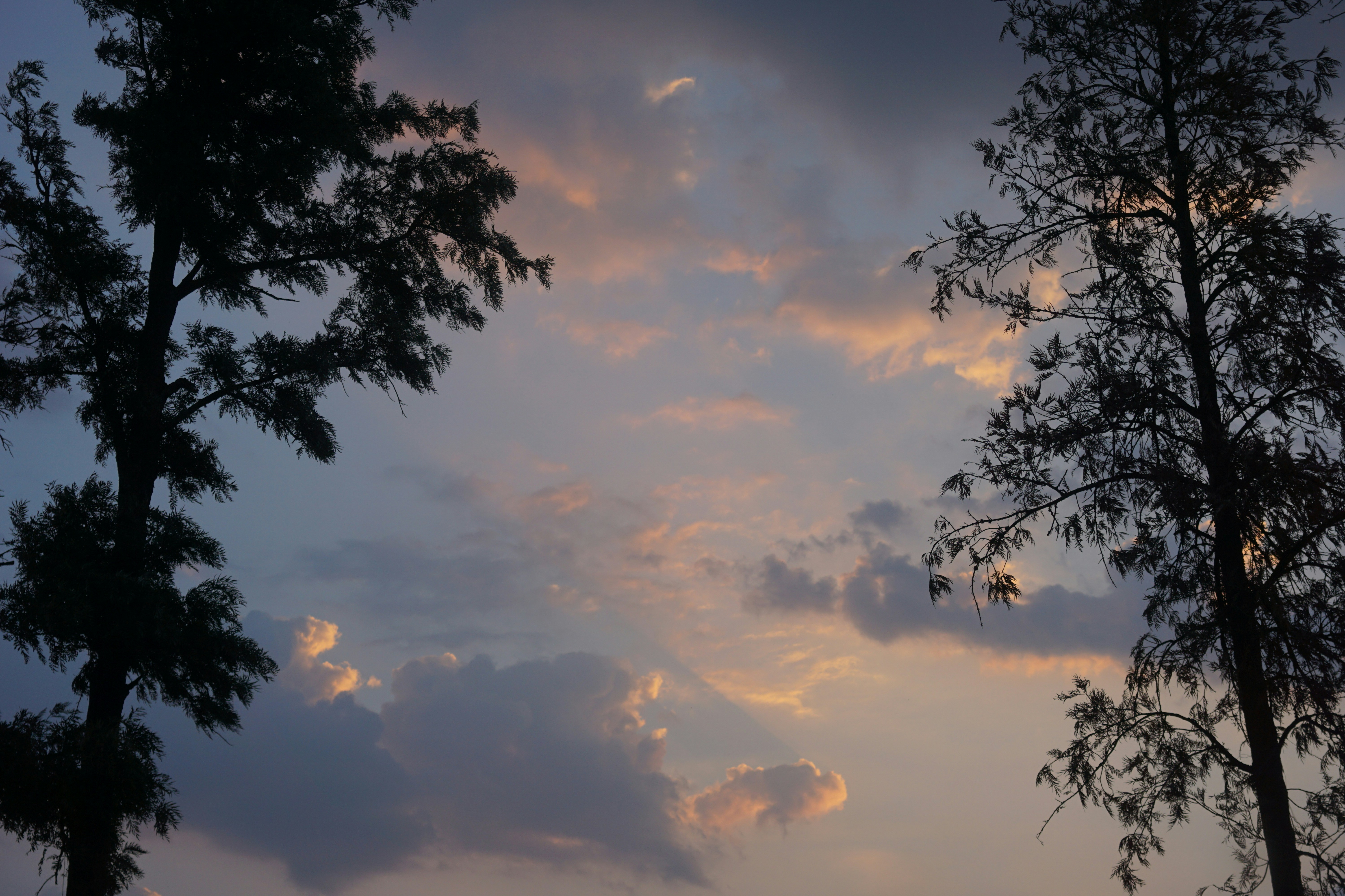 Photo by jayeshjoshi12