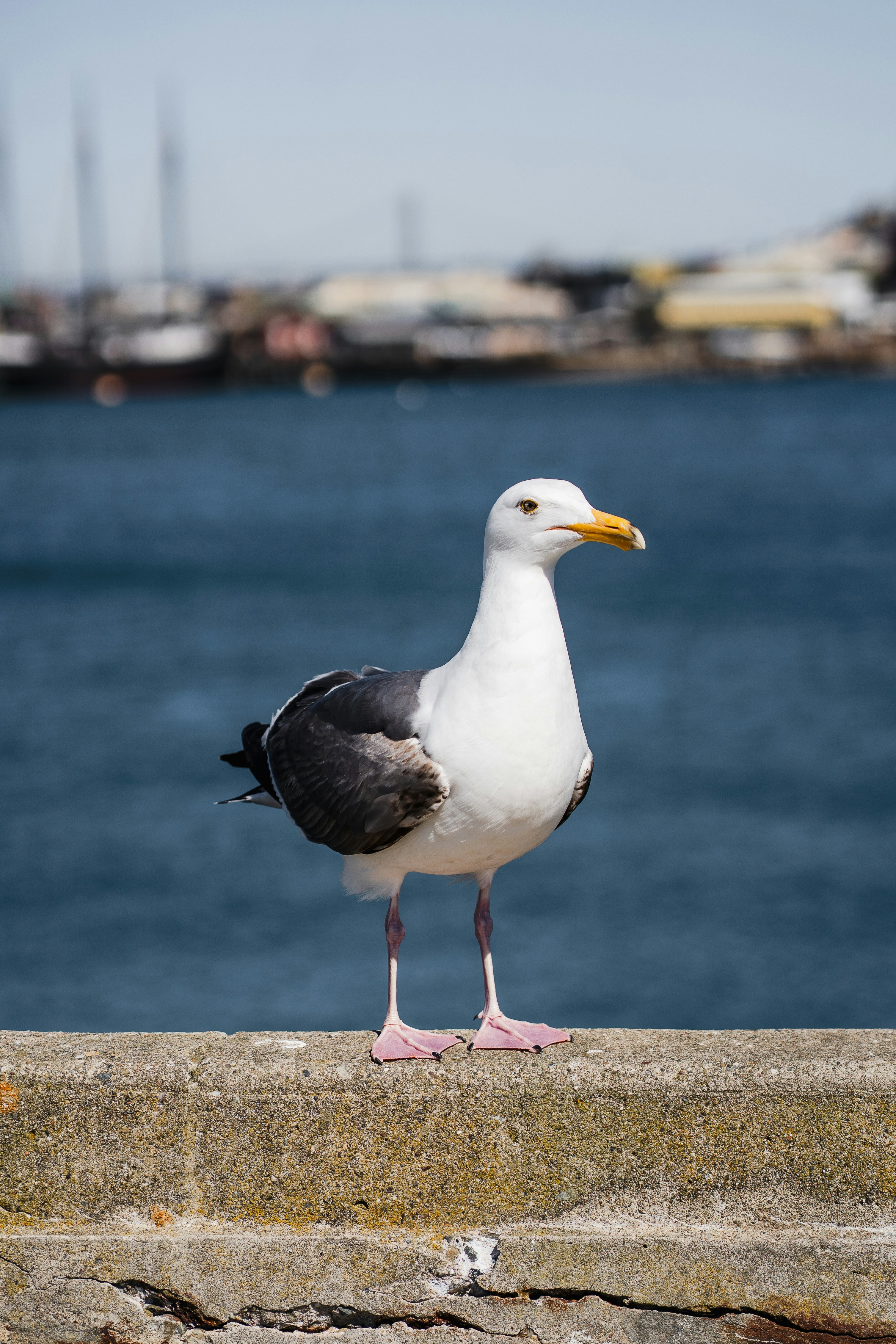 Photo by clementproust