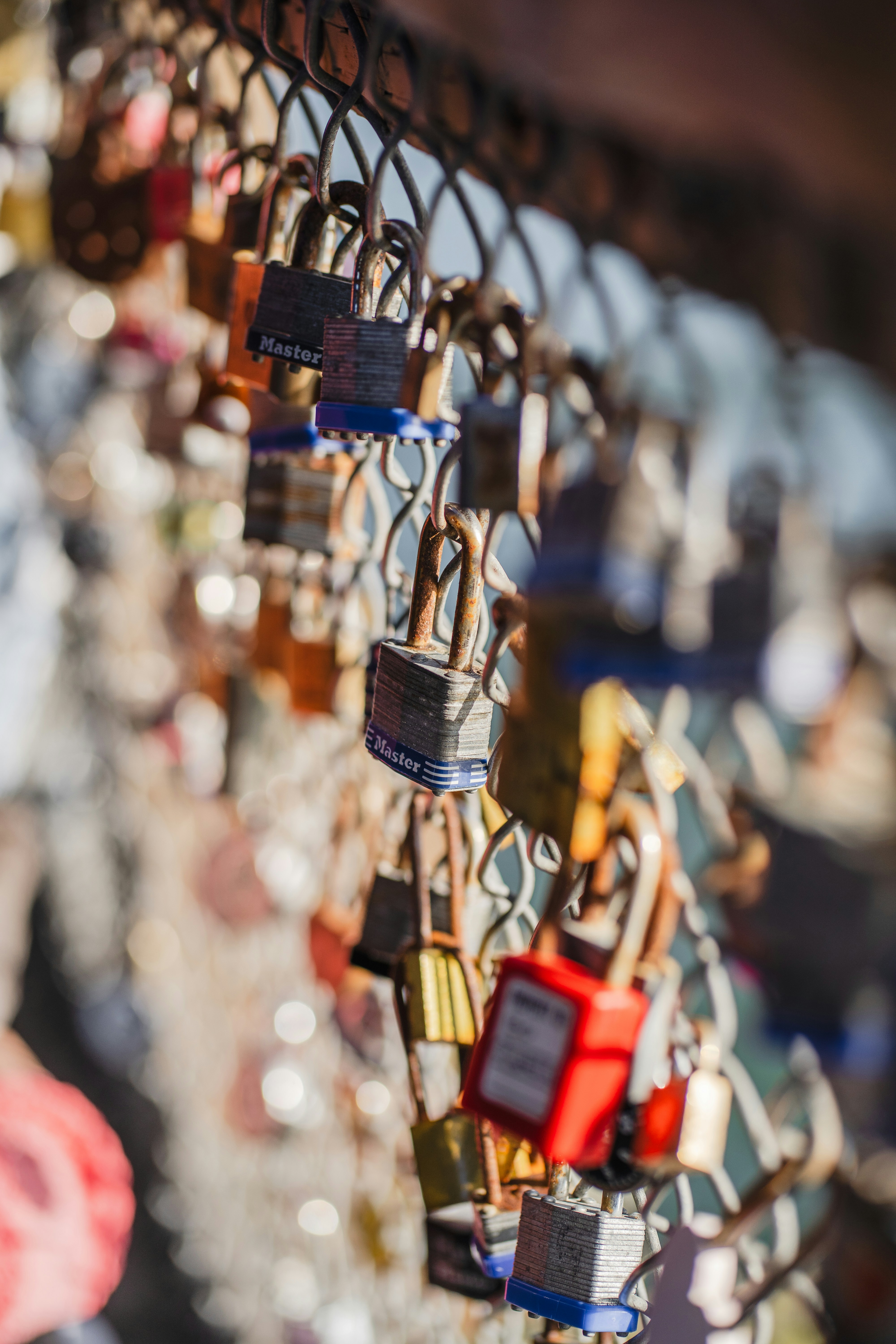 Many colorful padlocks hanging on a chain-link fence.