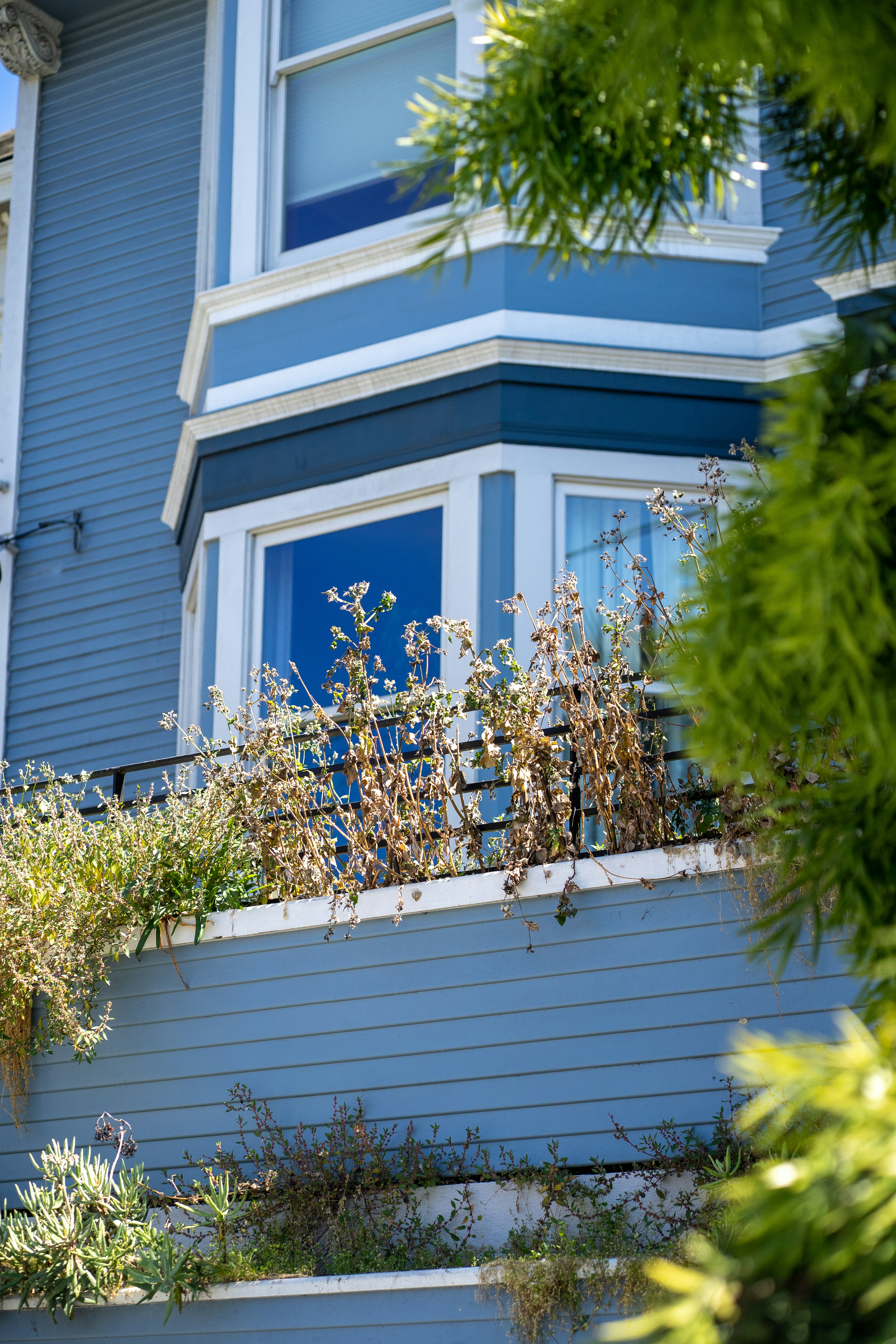 Photo by clementproust