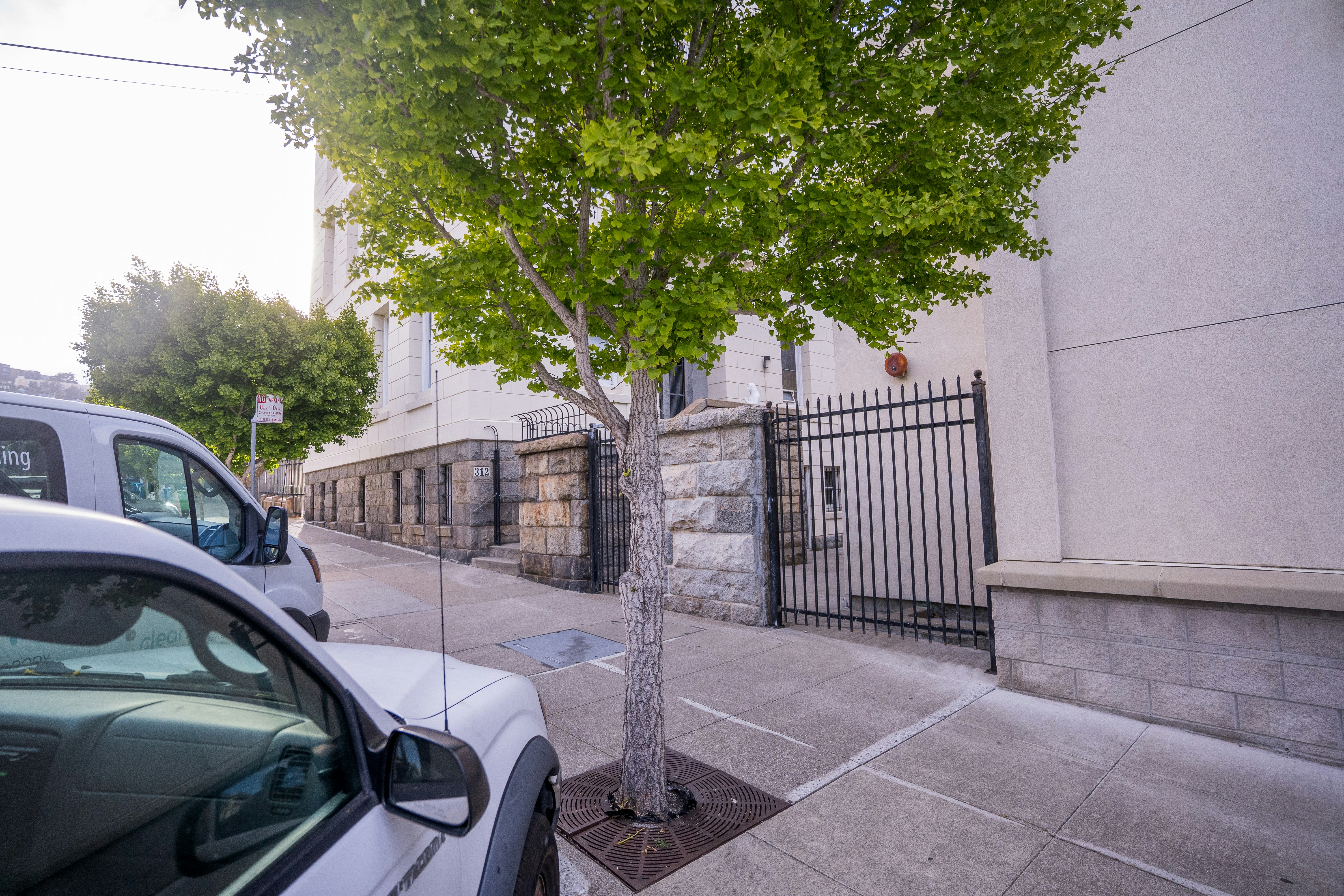 Un arbre se dresse sur un trottoir à côté de voitures garées.