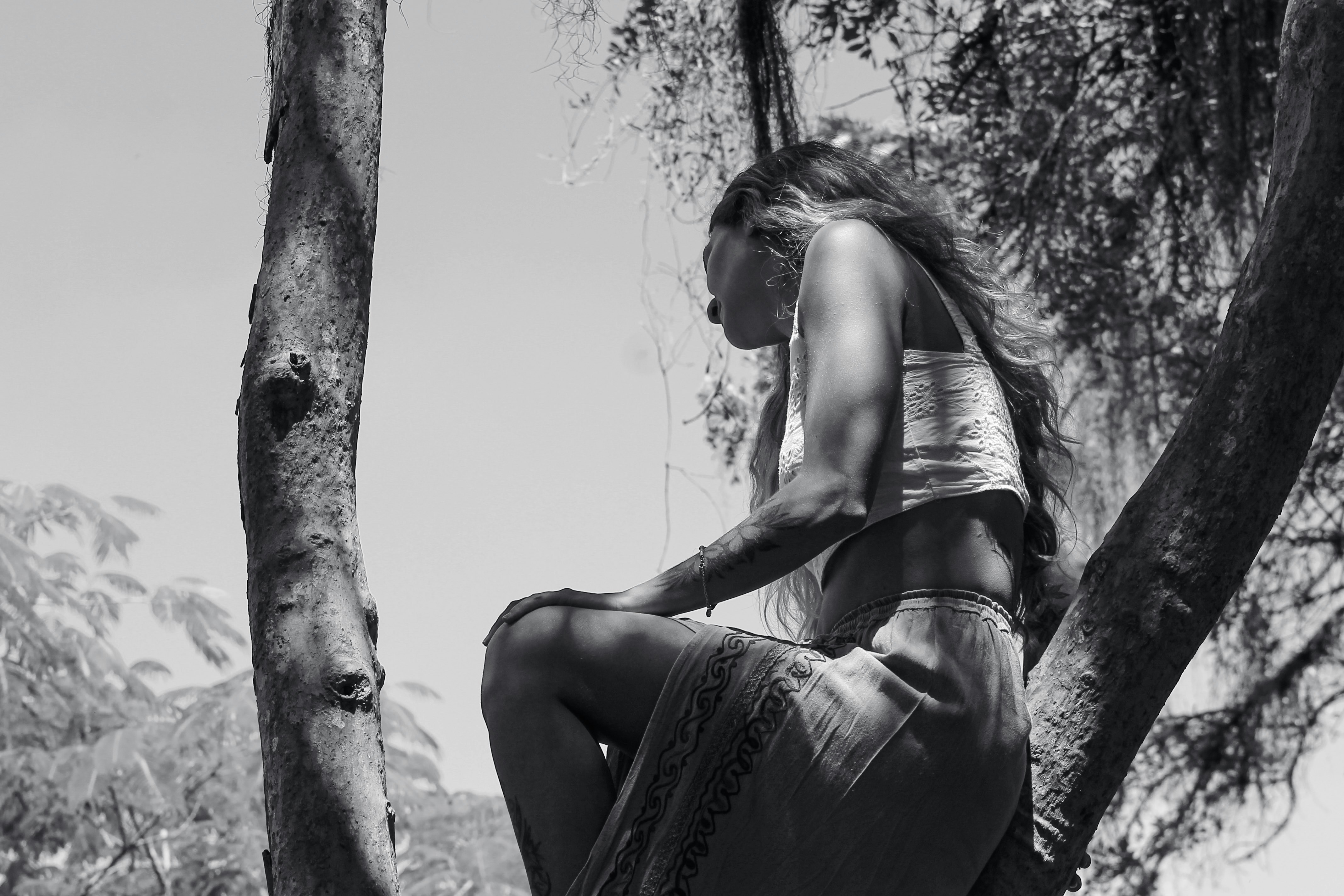 A woman sits in a tree looking out