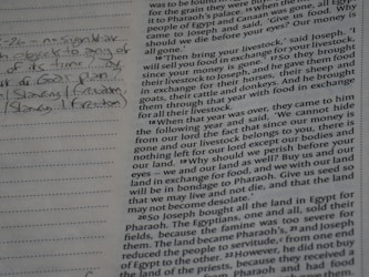 Research Demonstrators