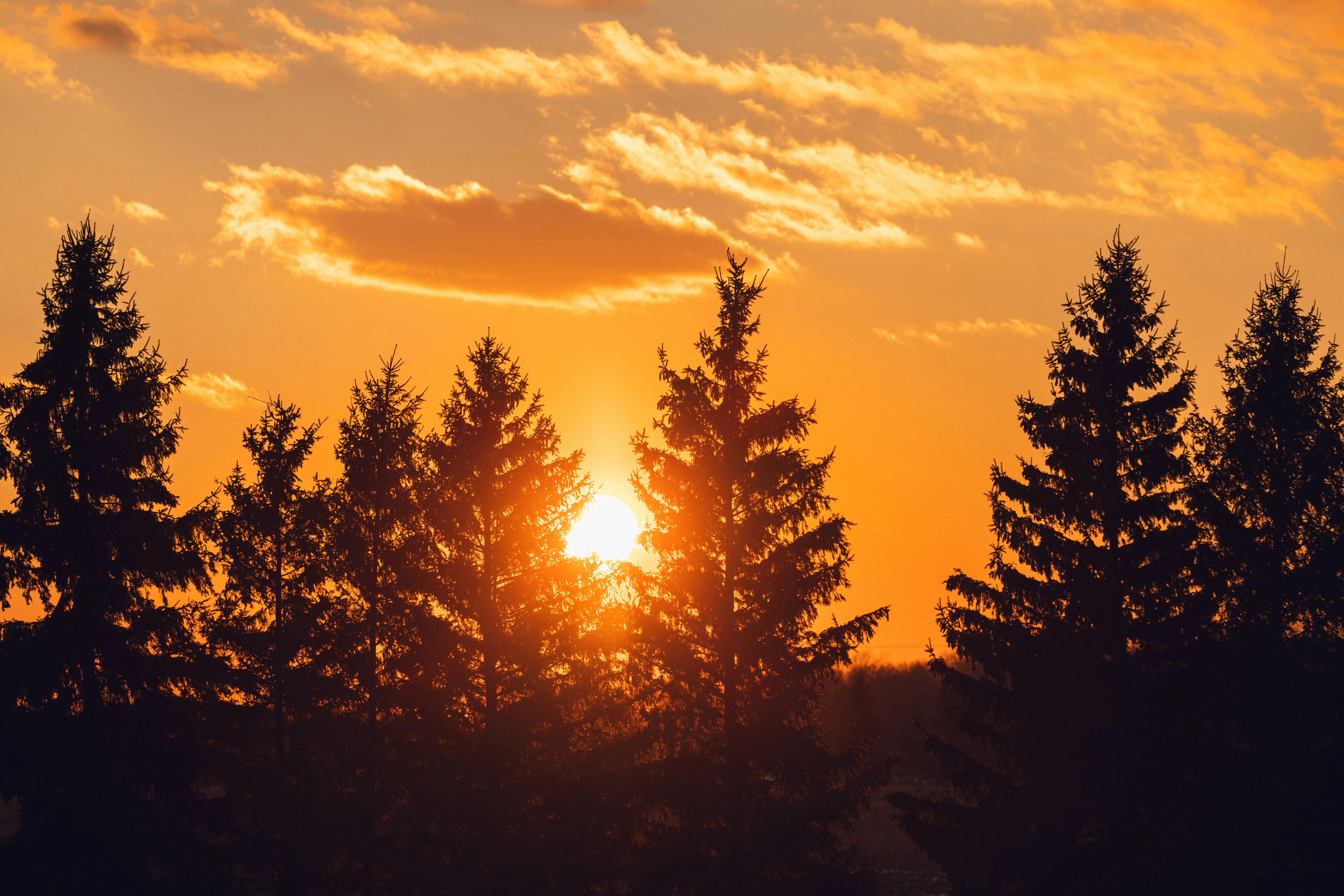 Photo by hollyyvonne