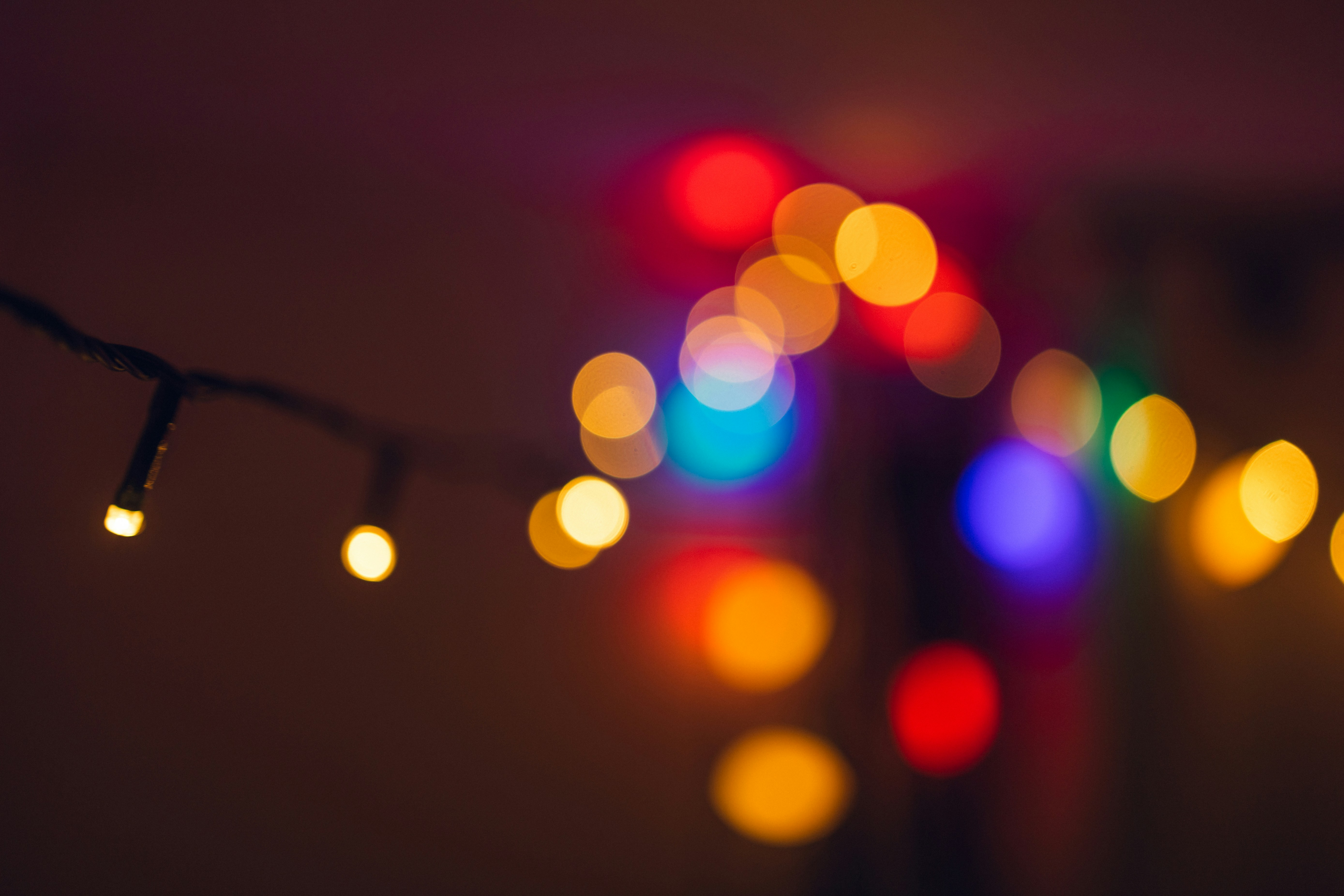 Photo by hollyyvonne