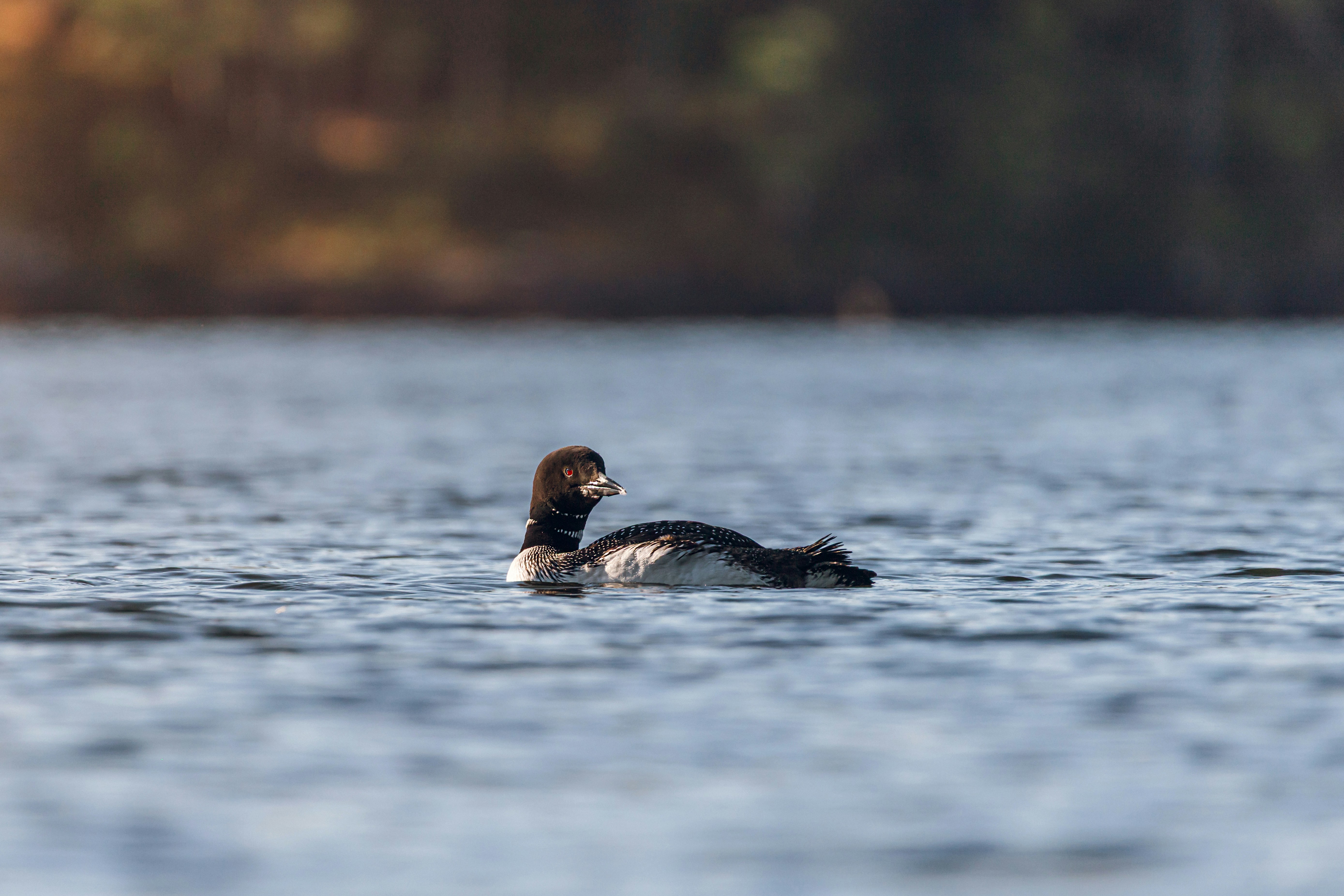 Photo by hollyyvonne