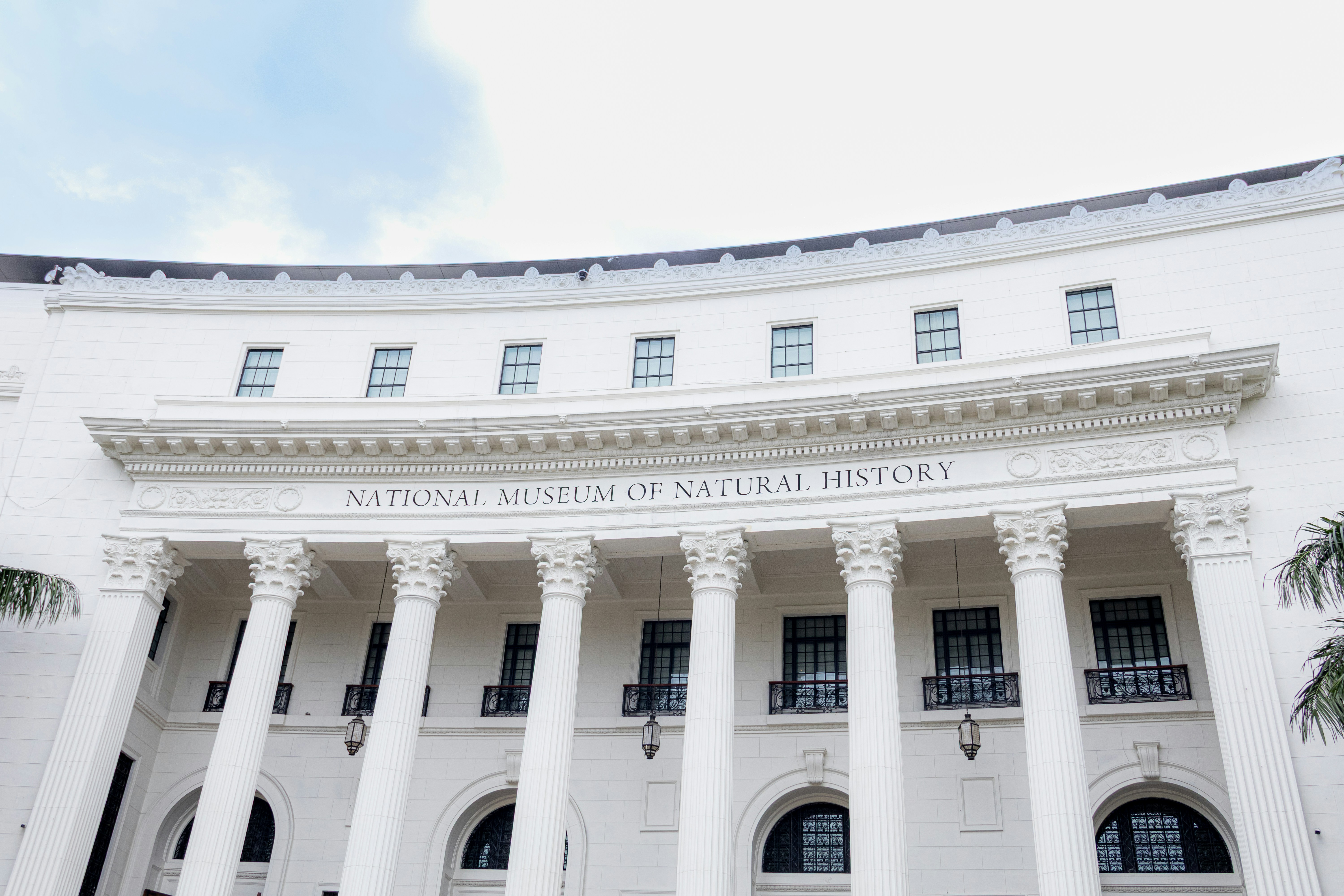 National museum of natural history building facade