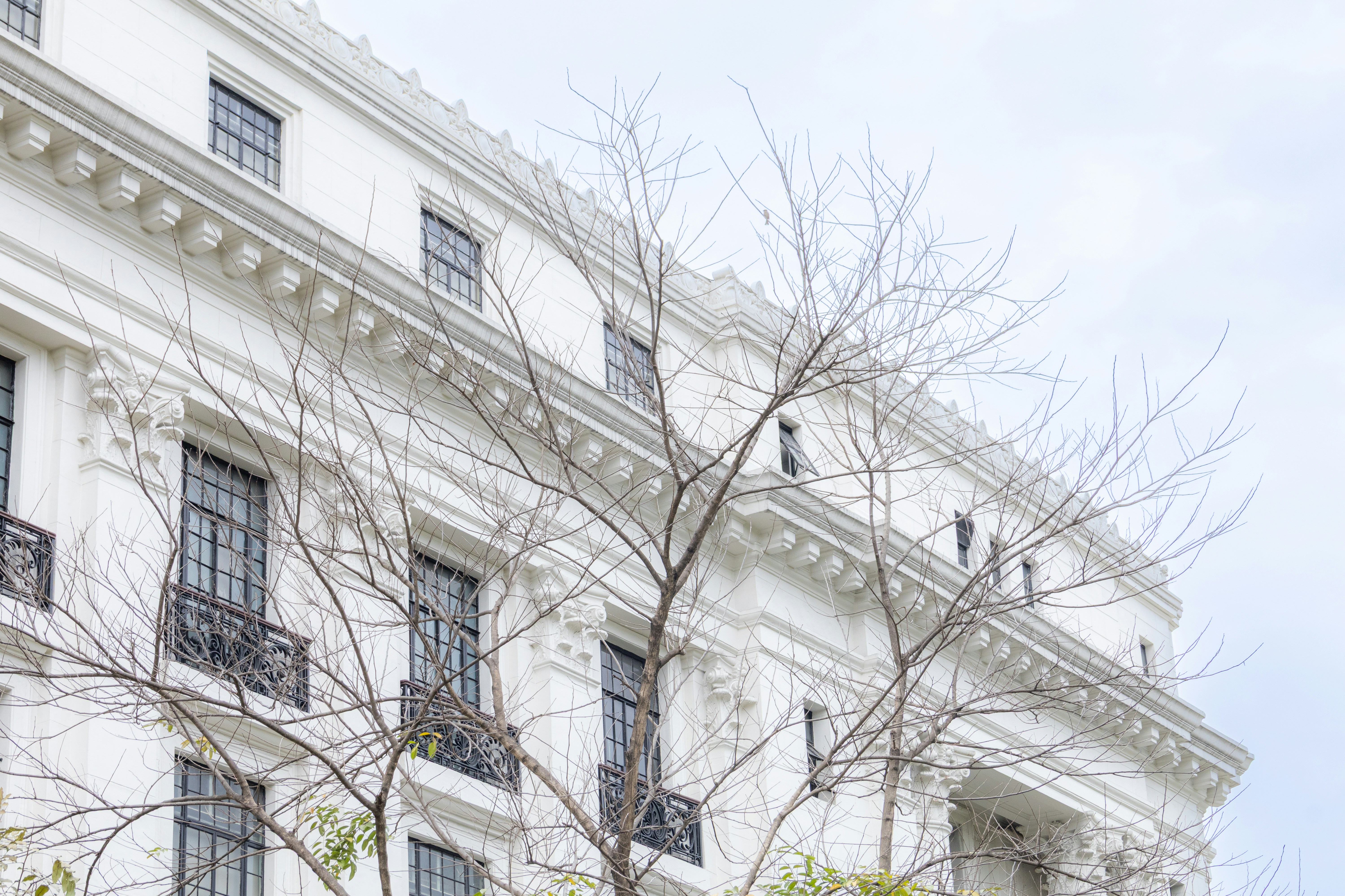 White building with ornate details and bare trees.