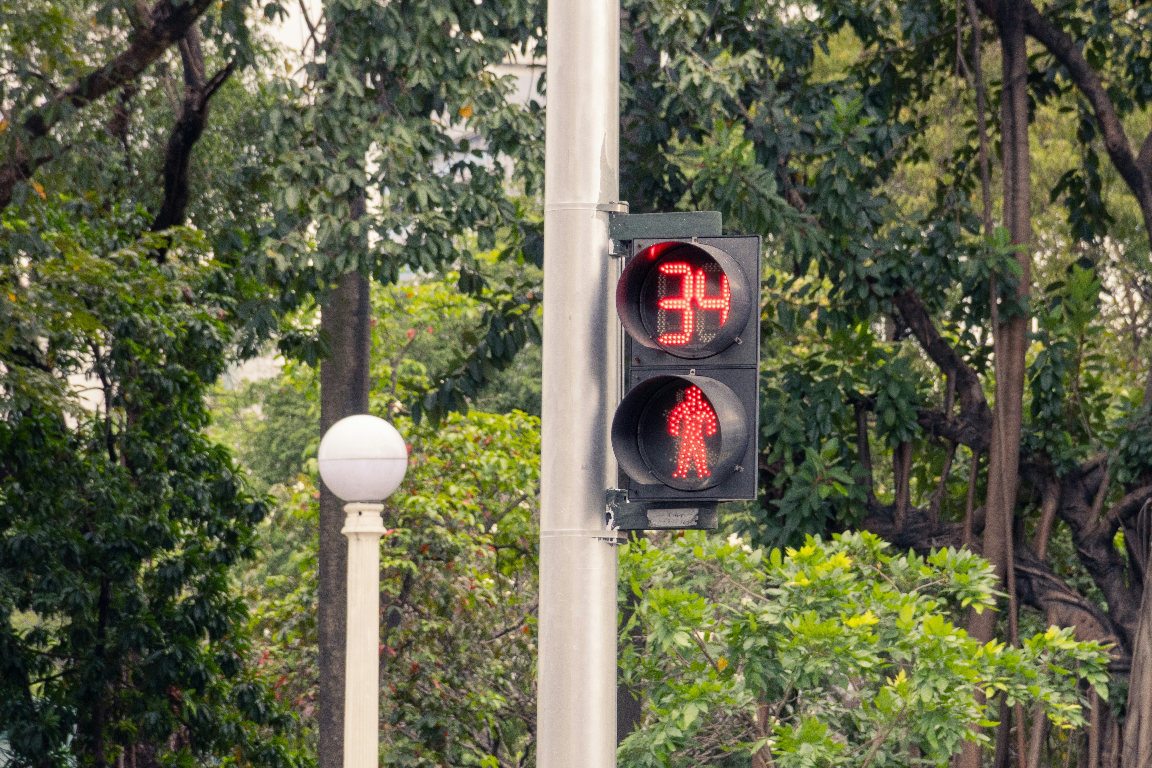 Red pedestrian signal with countdown timer showing 34 seconds.