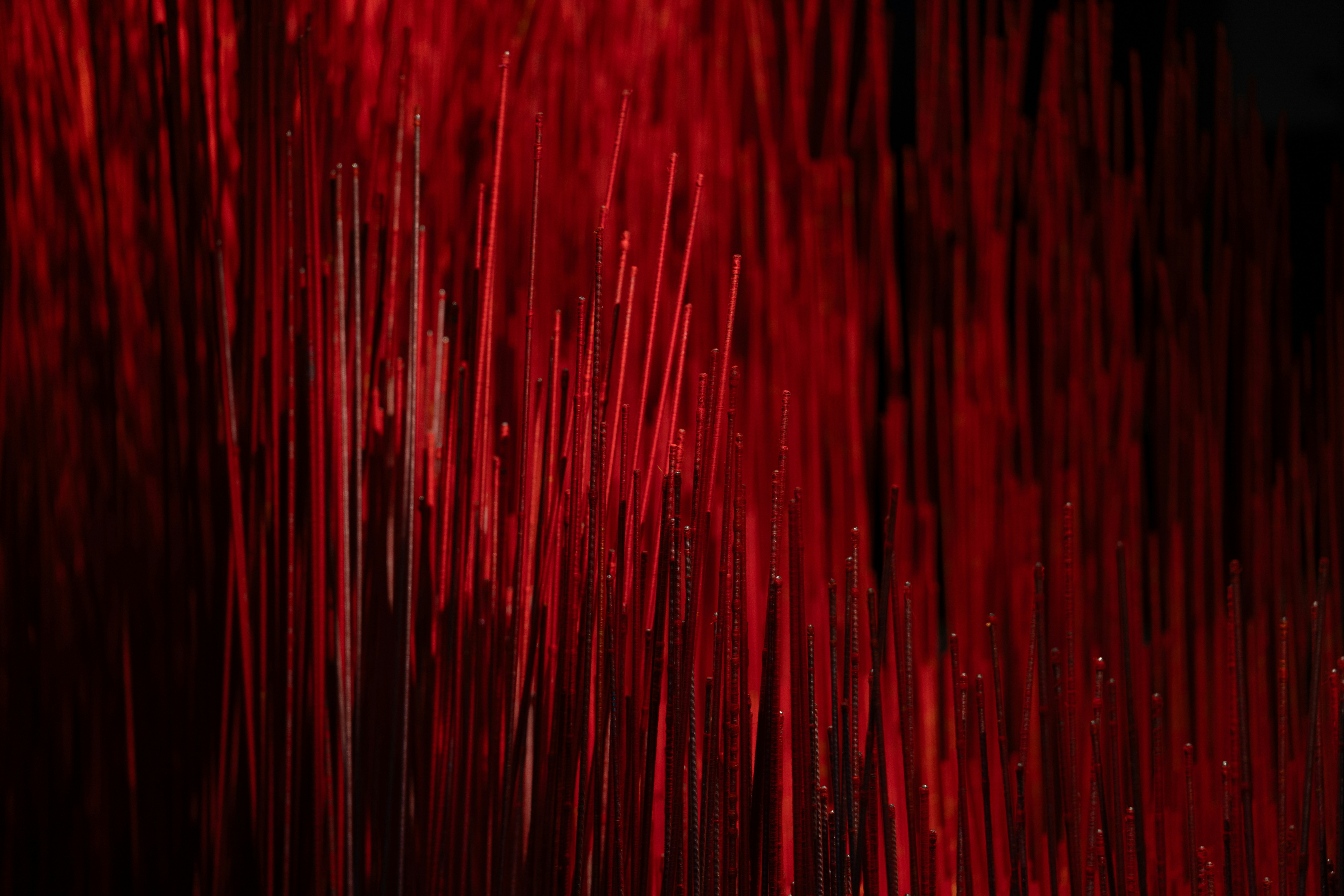 Abstract red lines on a dark background