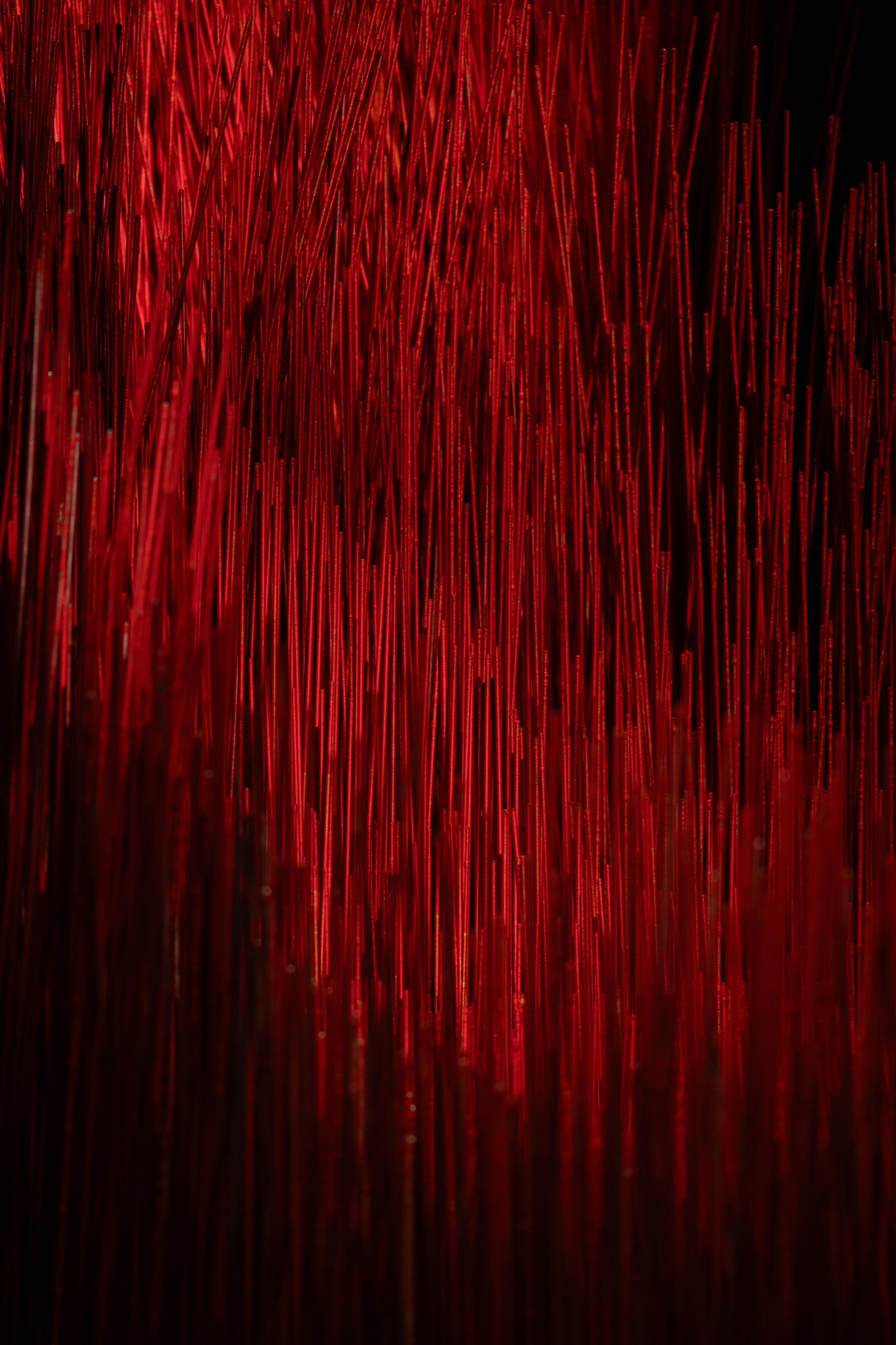 Abstract red strands against a dark background