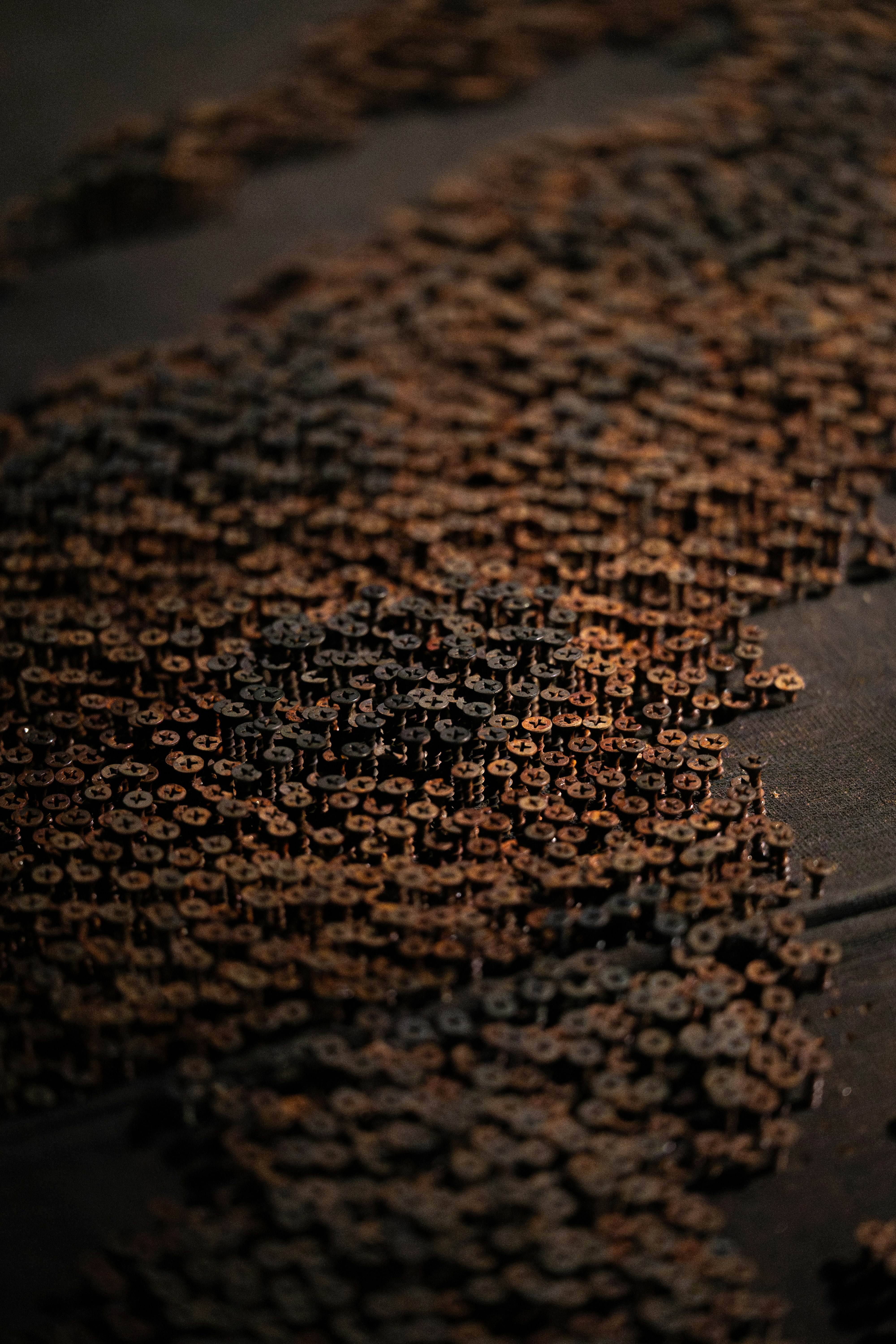 Rows of rusty nails on a dark surface