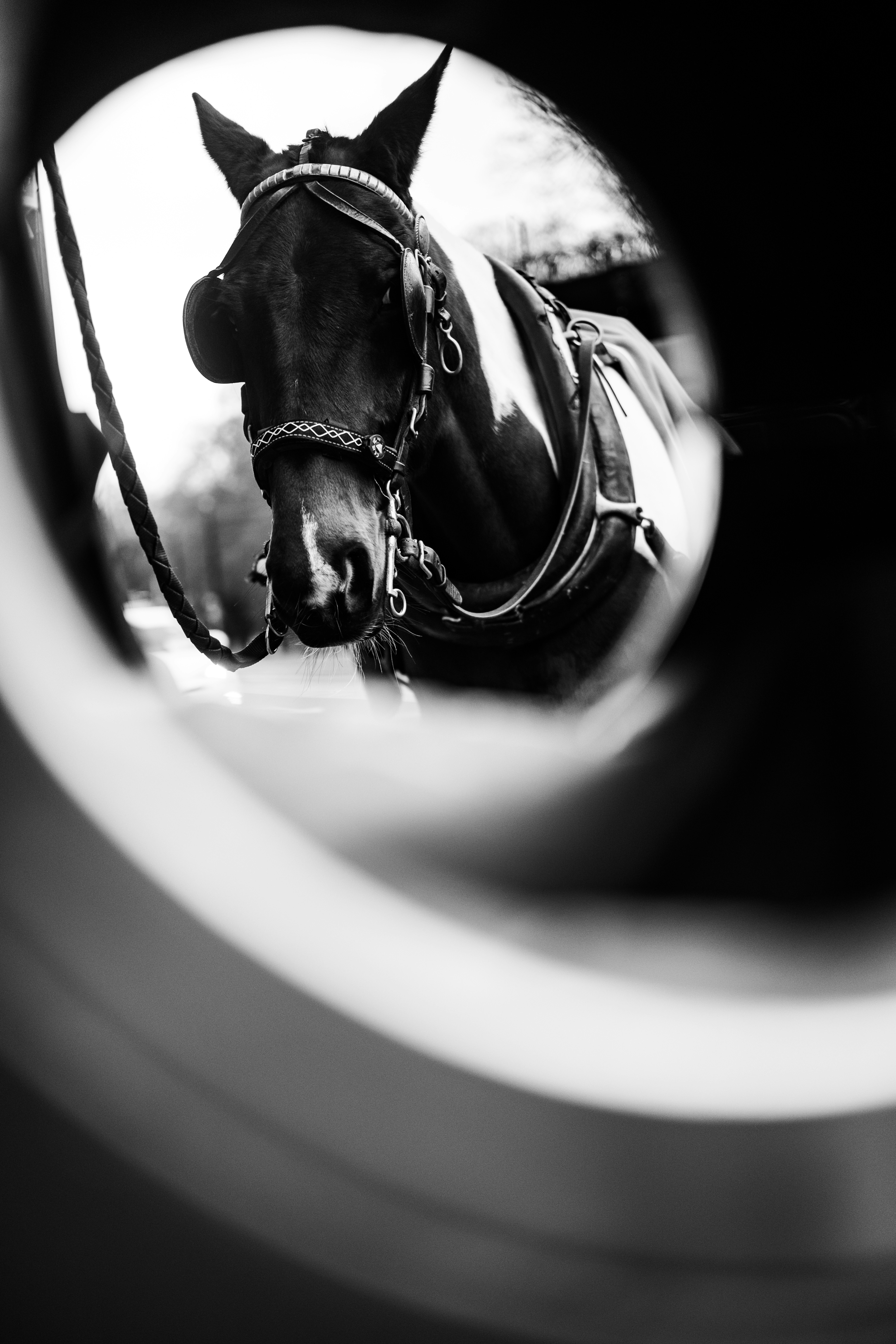 Photo by atelierbyvineeth