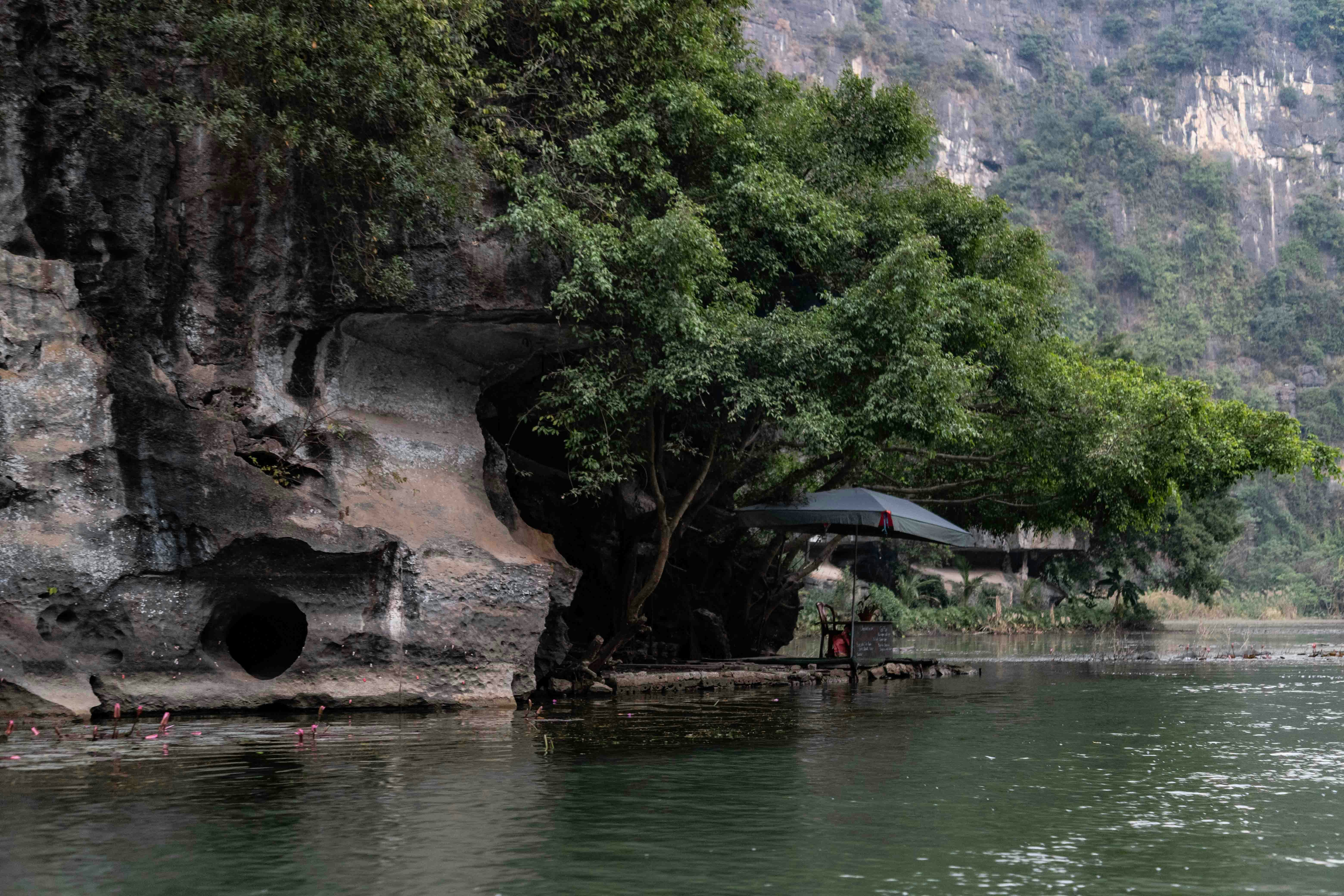 Rocky cliff face with trees and a river