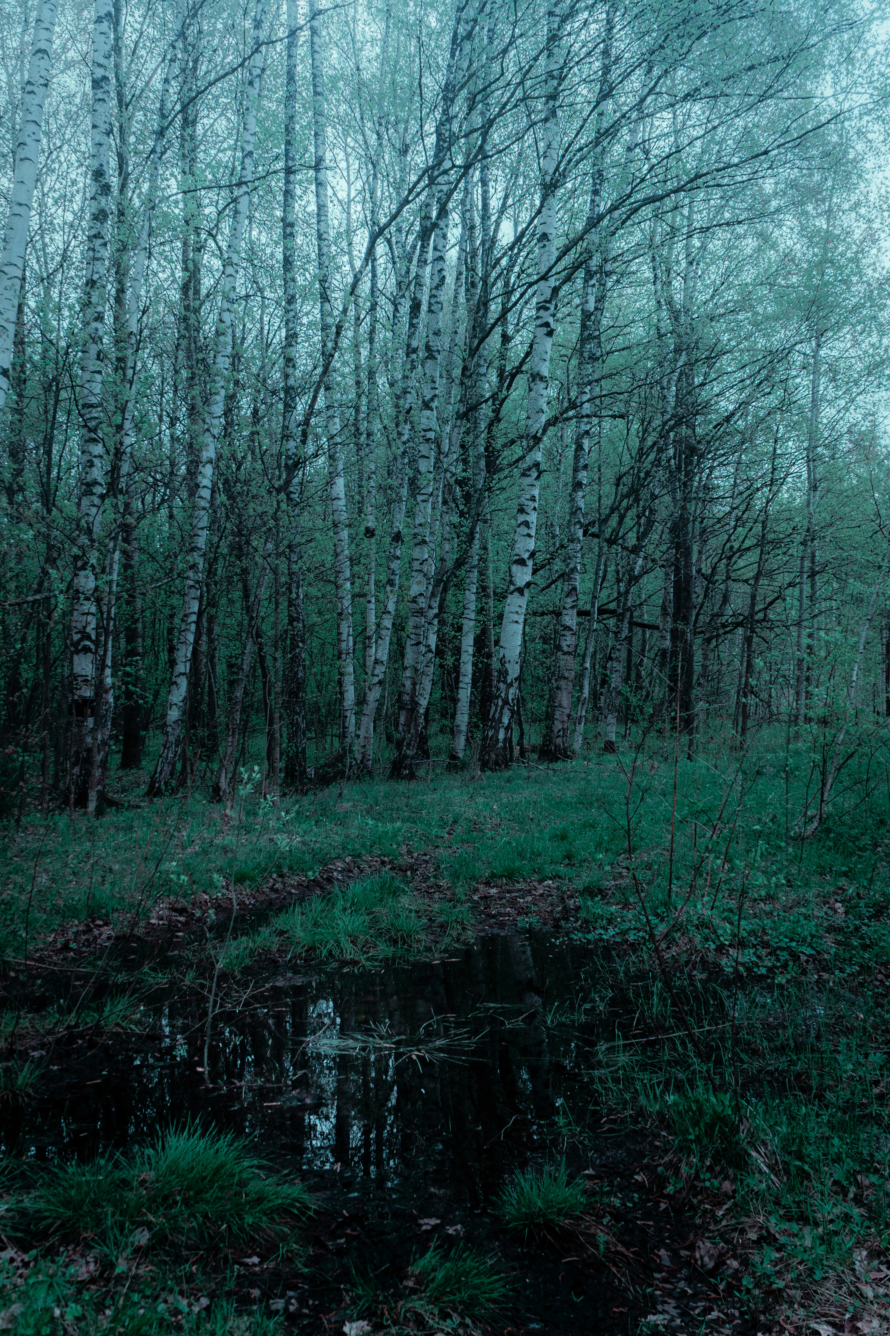 Photo by hodderphotos