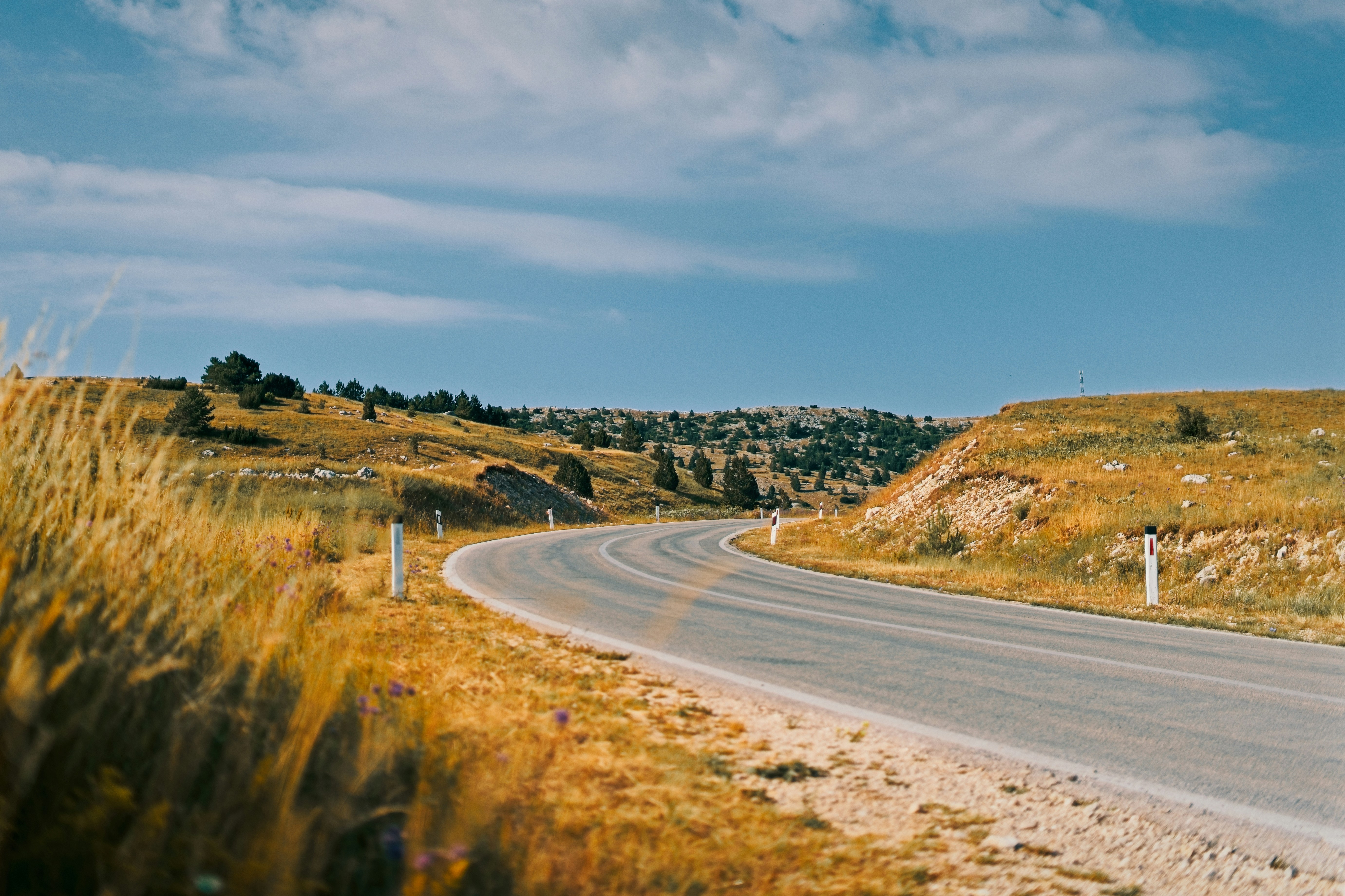 Photo by nedimshoots