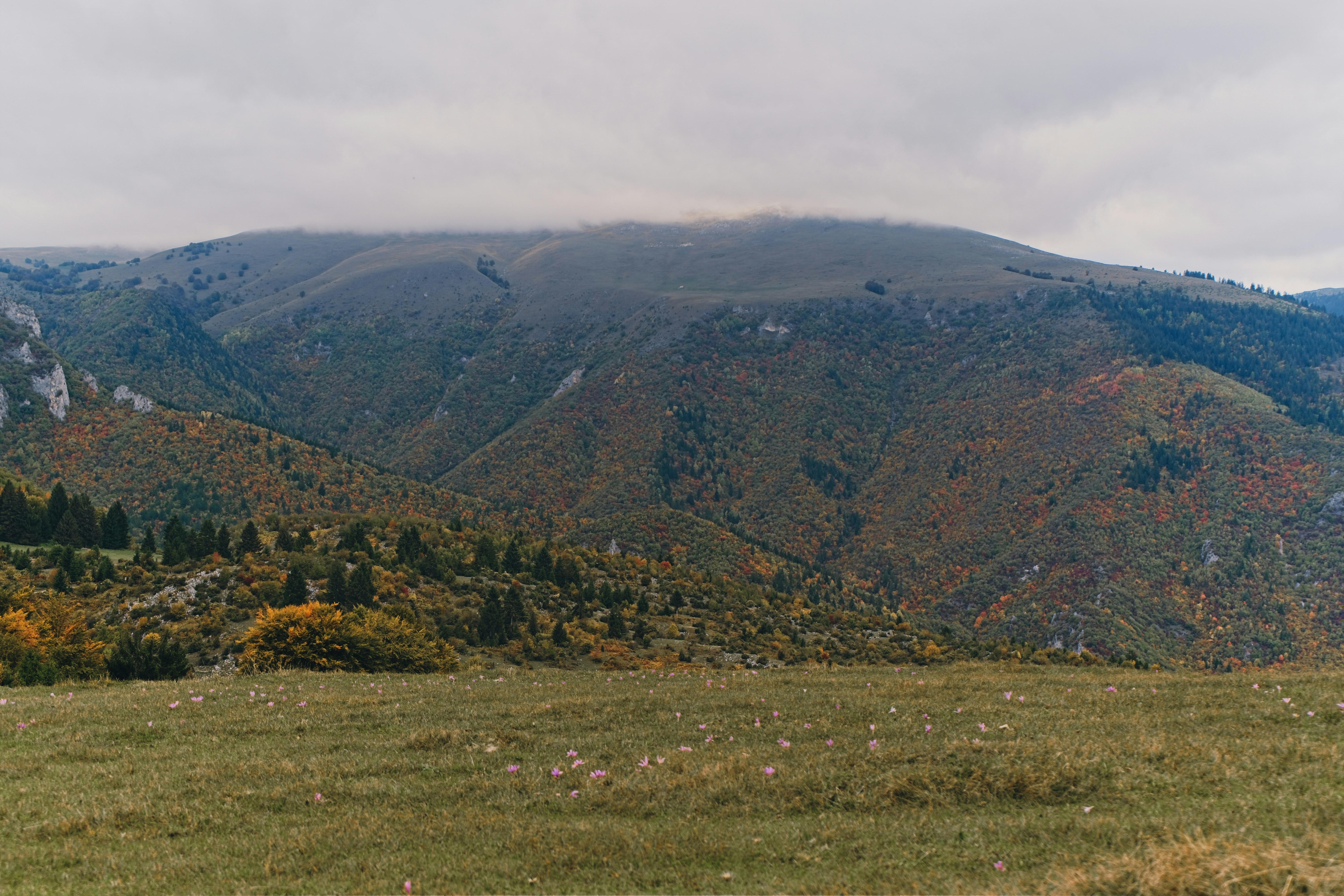 Photo by nedimshoots