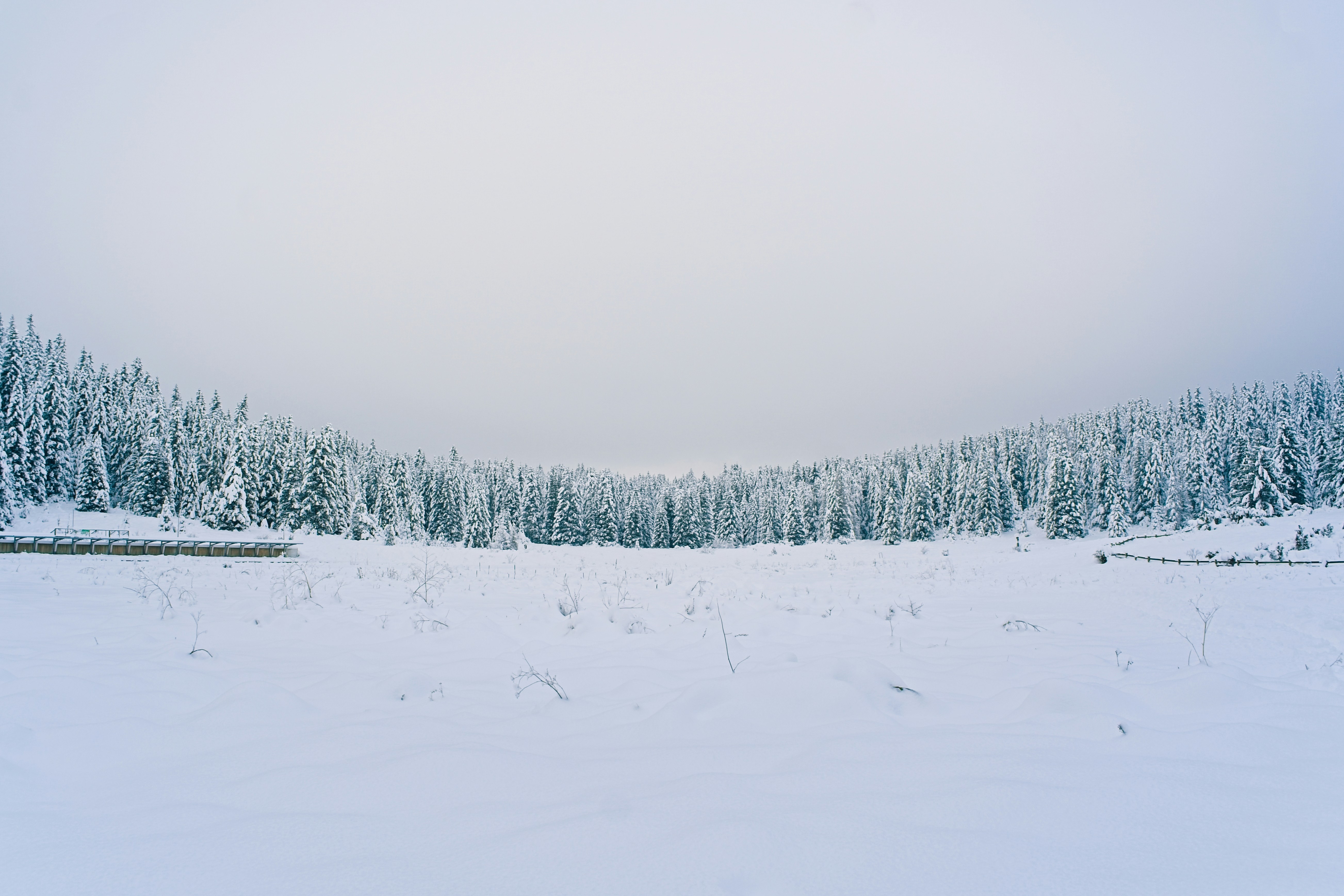 Photo by nedimshoots