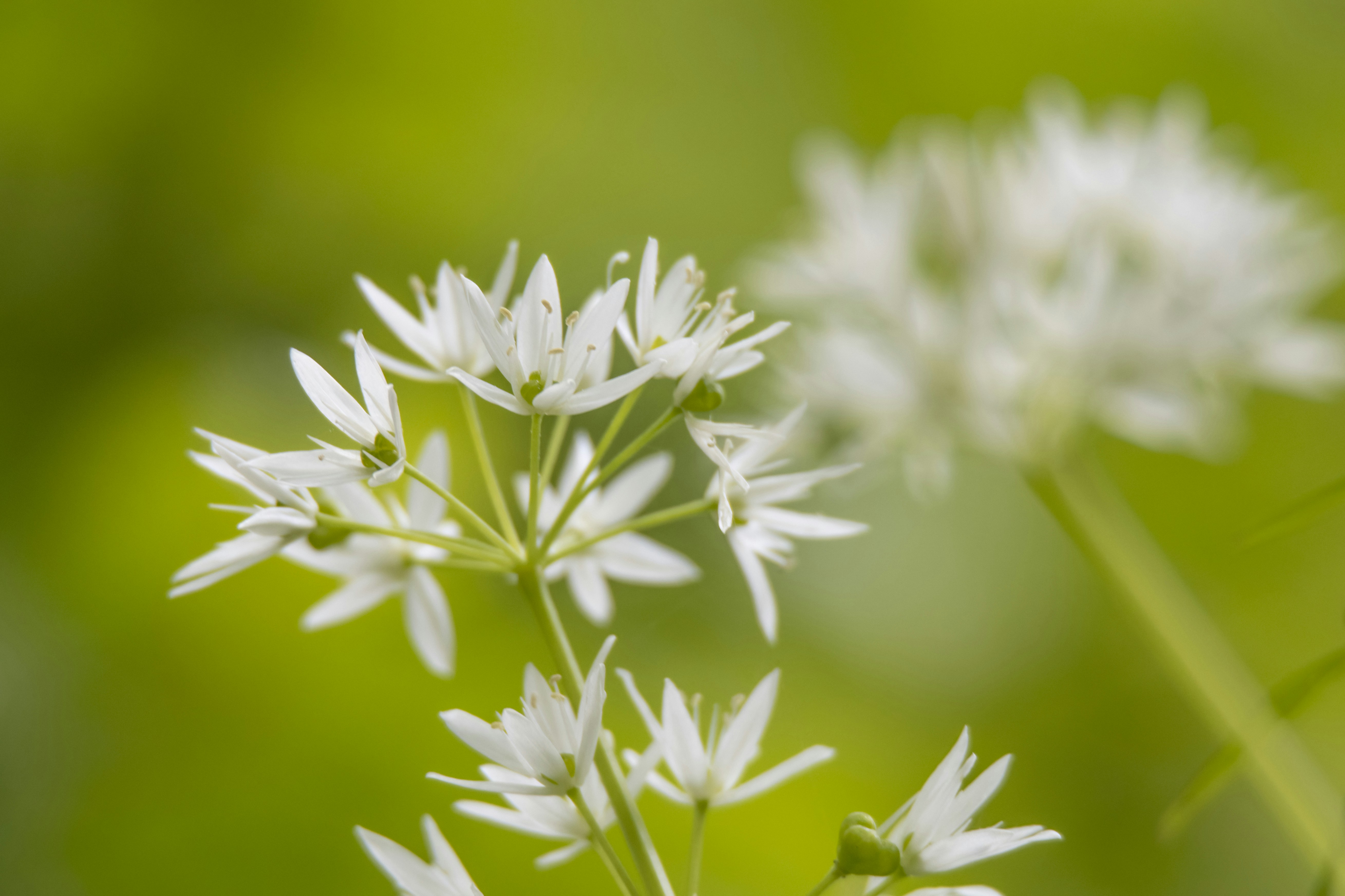 Photo by valentinastn