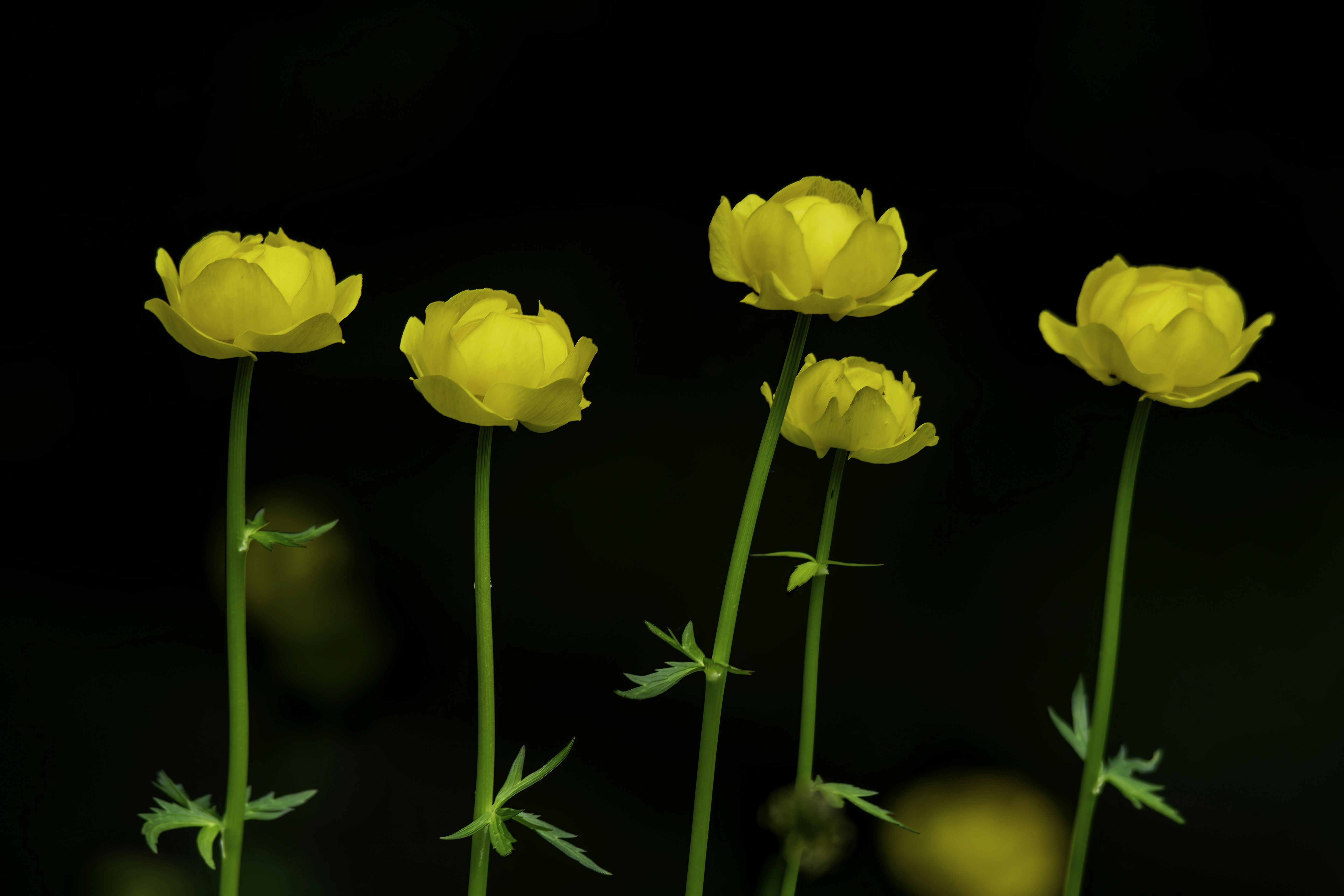 Photo by valentinastn