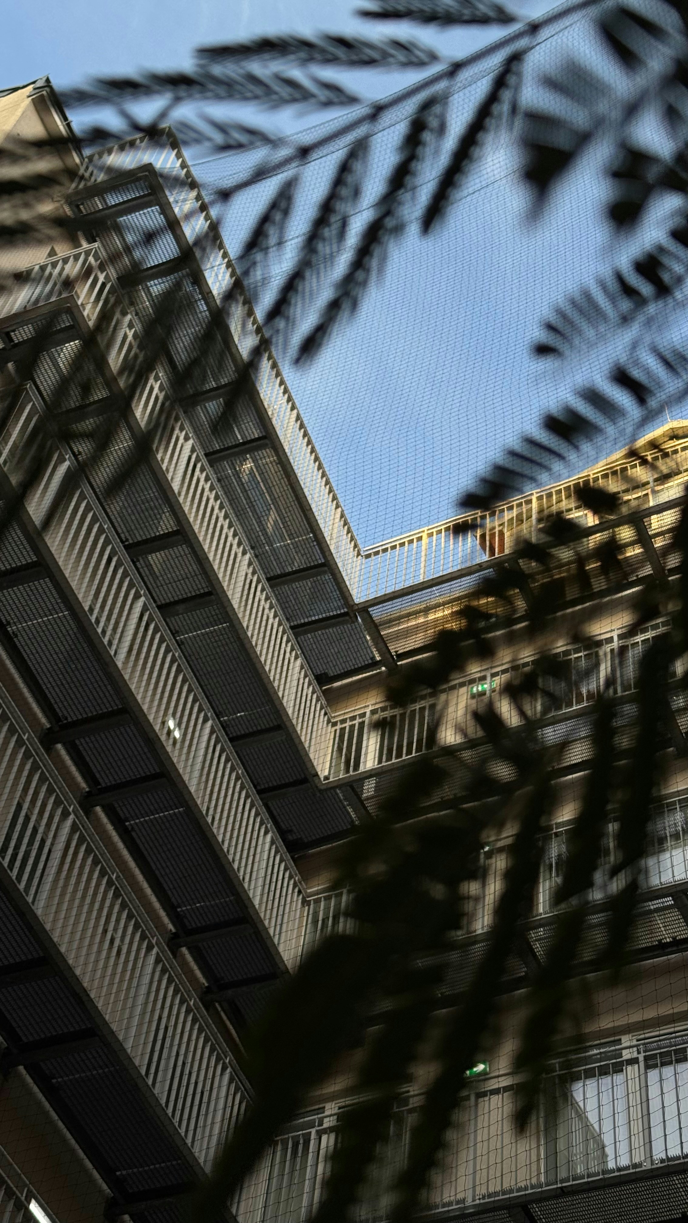 Mirando hacia los balcones a través de hojas verdes borrosas.