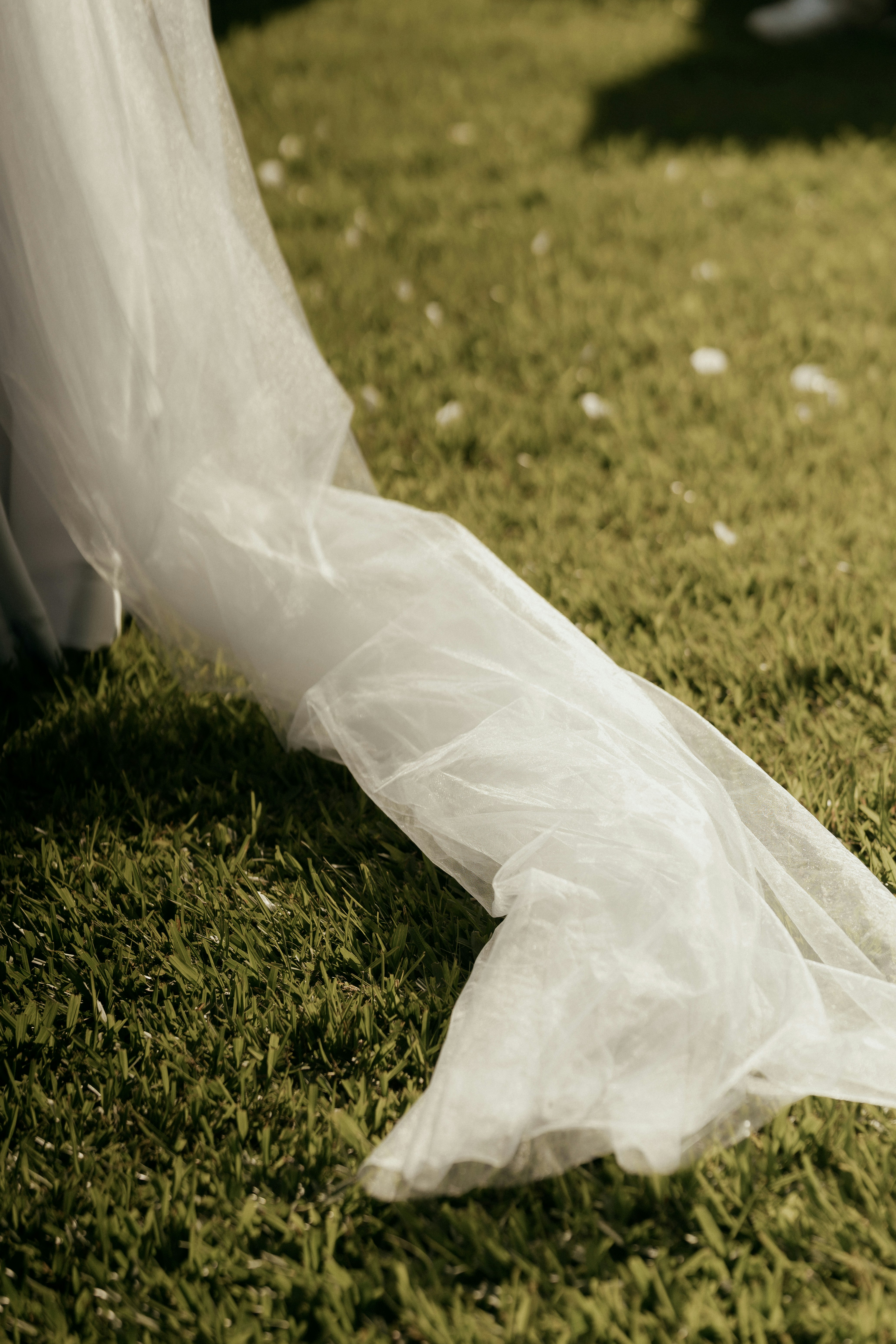 Photo by alexandermassph