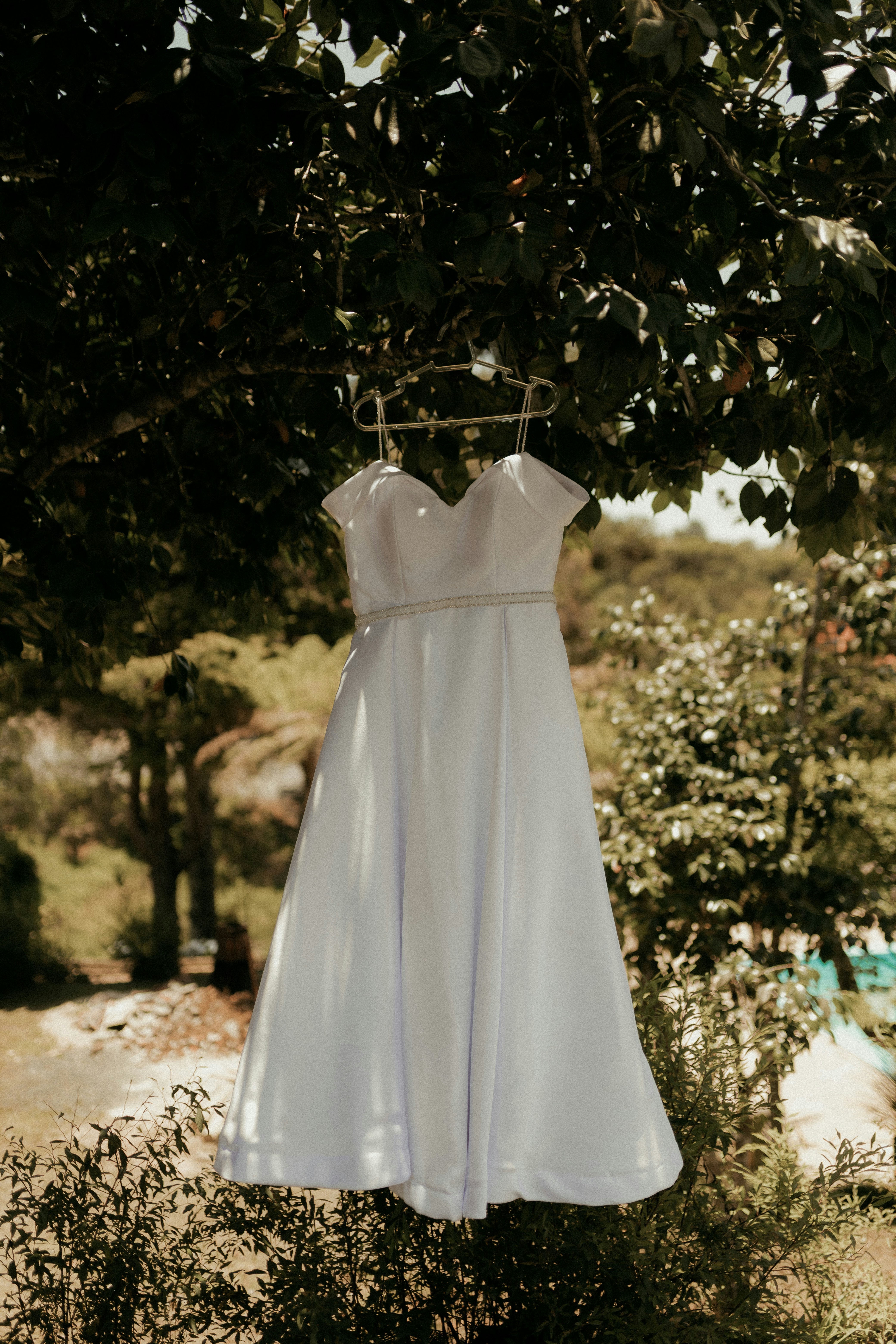 Photo by alexandermassph