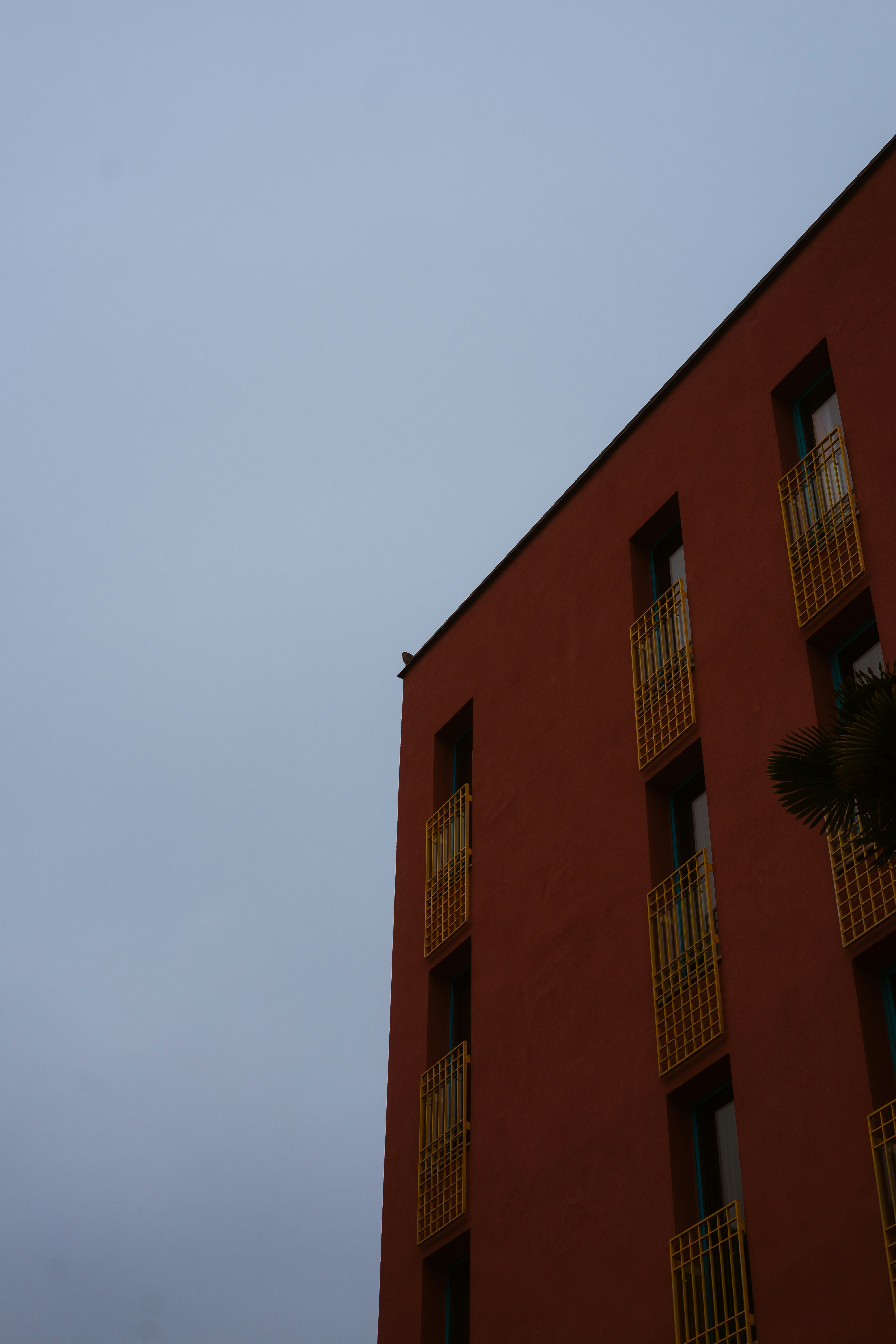 Photo by photograph_eevee