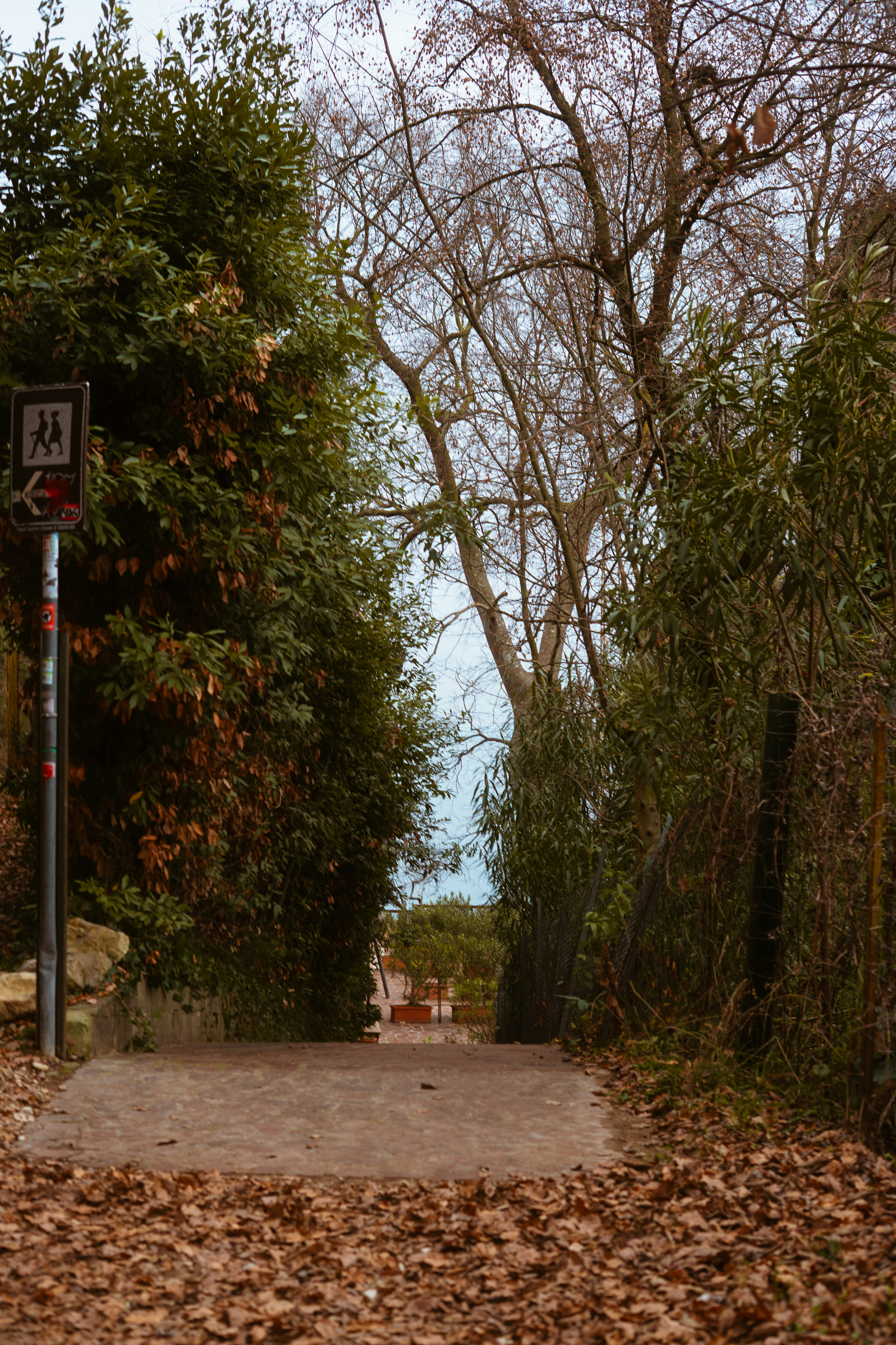 Photo by photograph_eevee