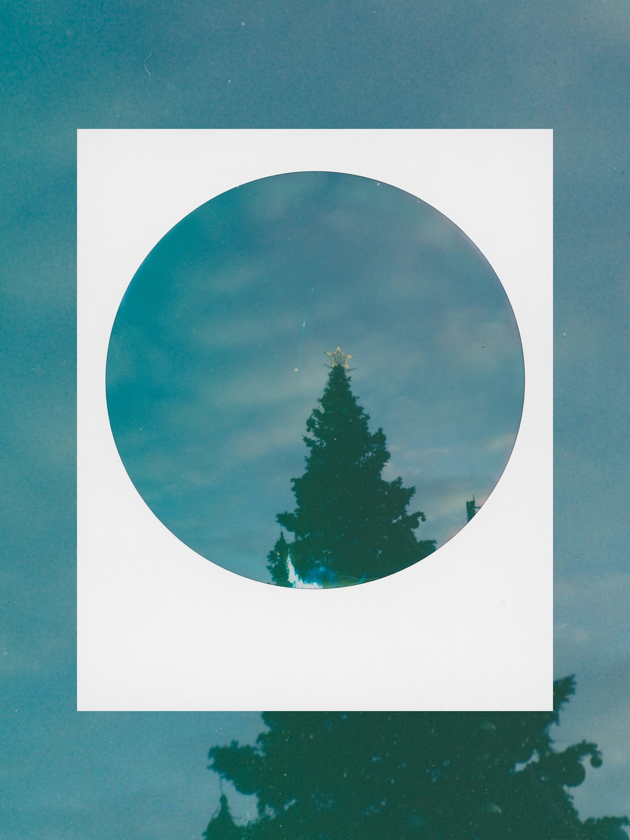 Silhouette of a christmas tree against a starry sky