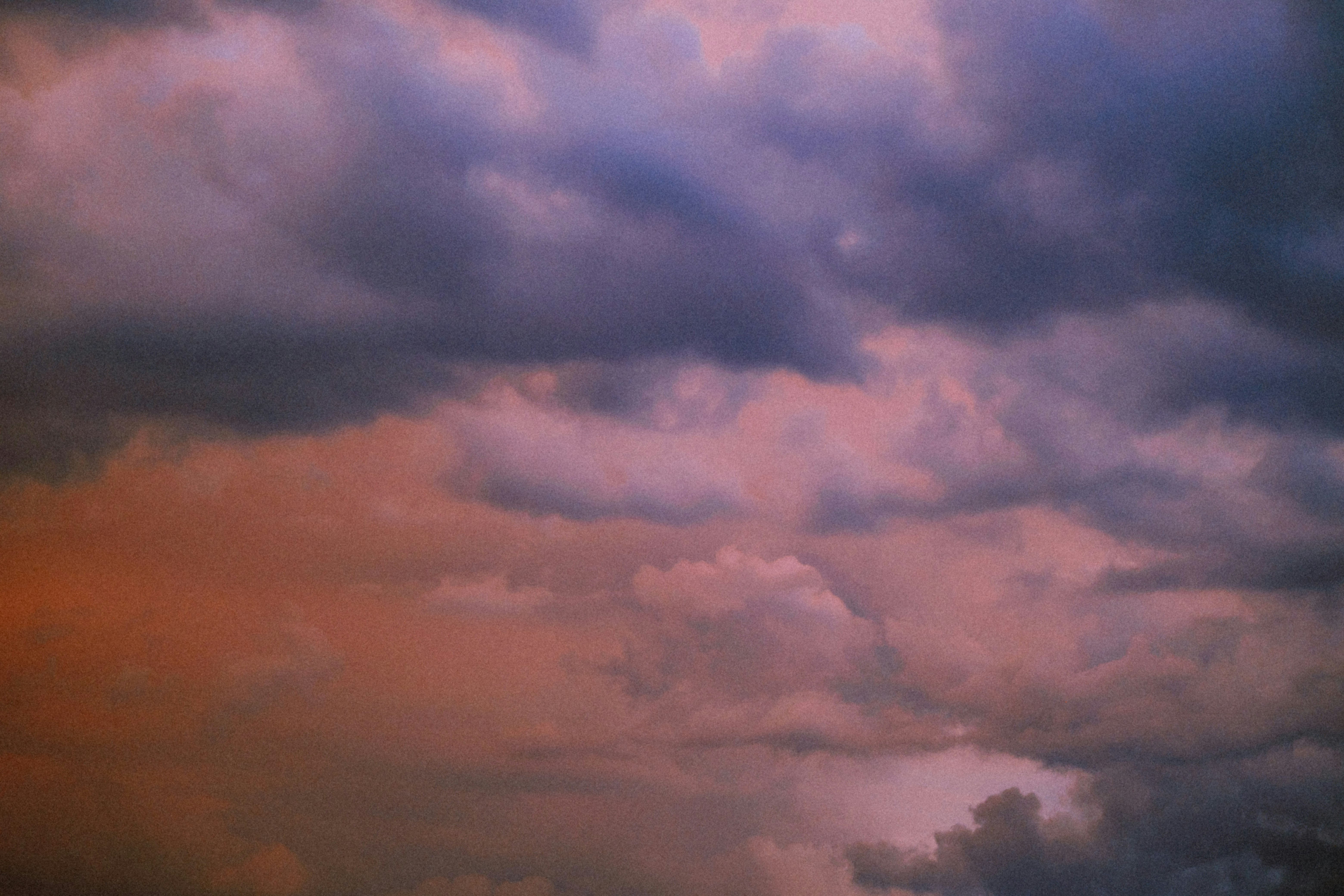 Photo by marsupialpudding