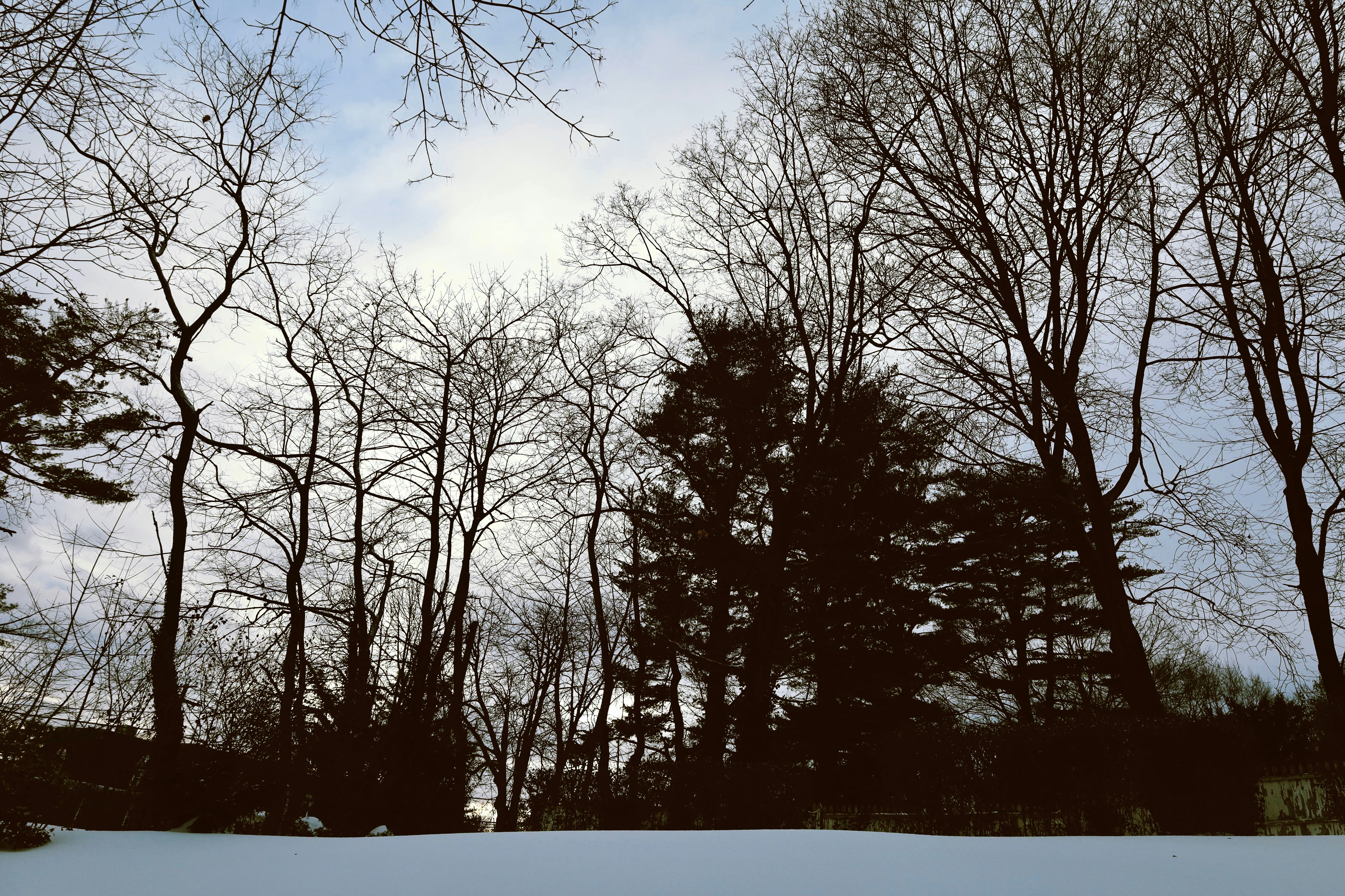 Photo by ananoelleeeee