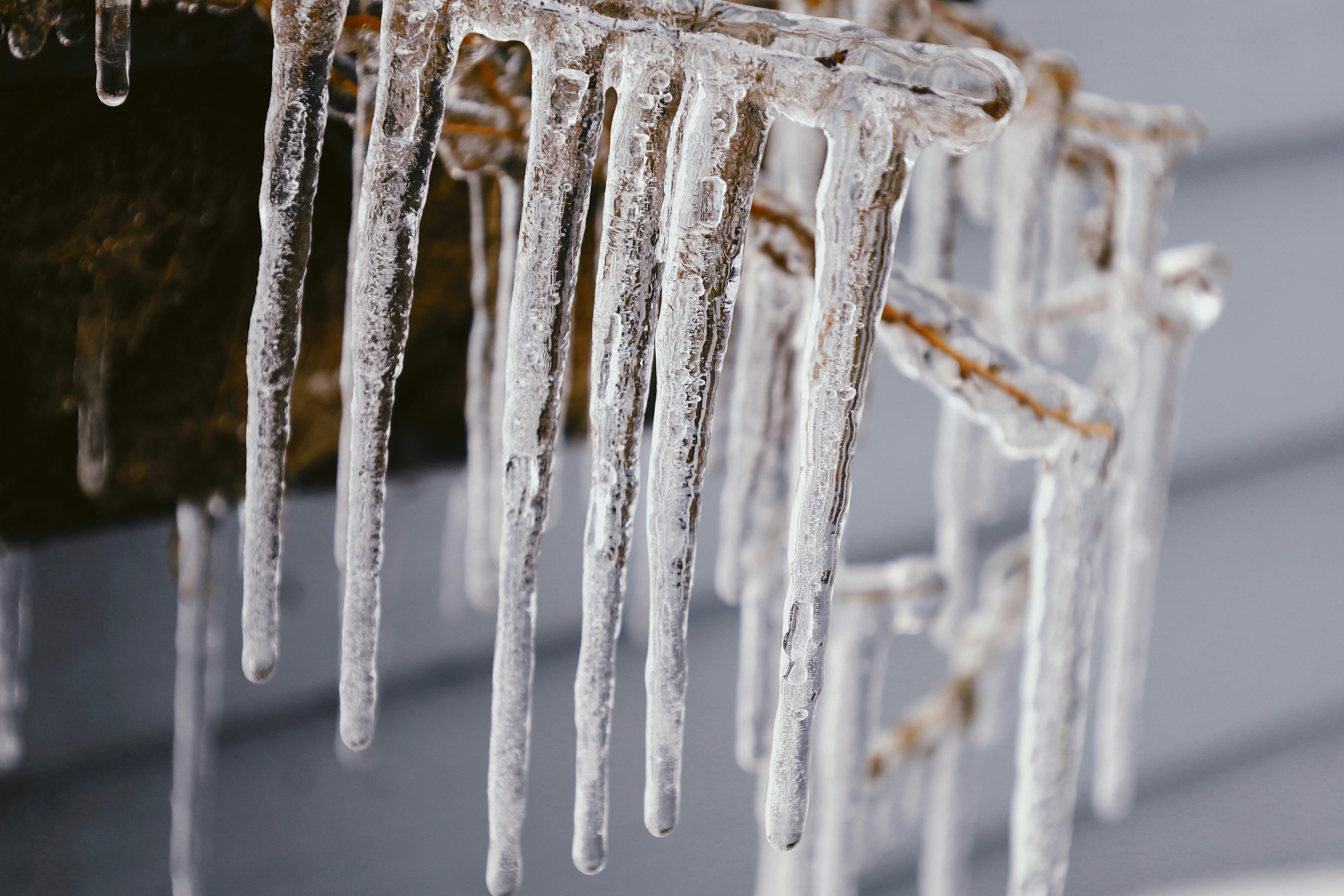 Photo by ananoelleeeee