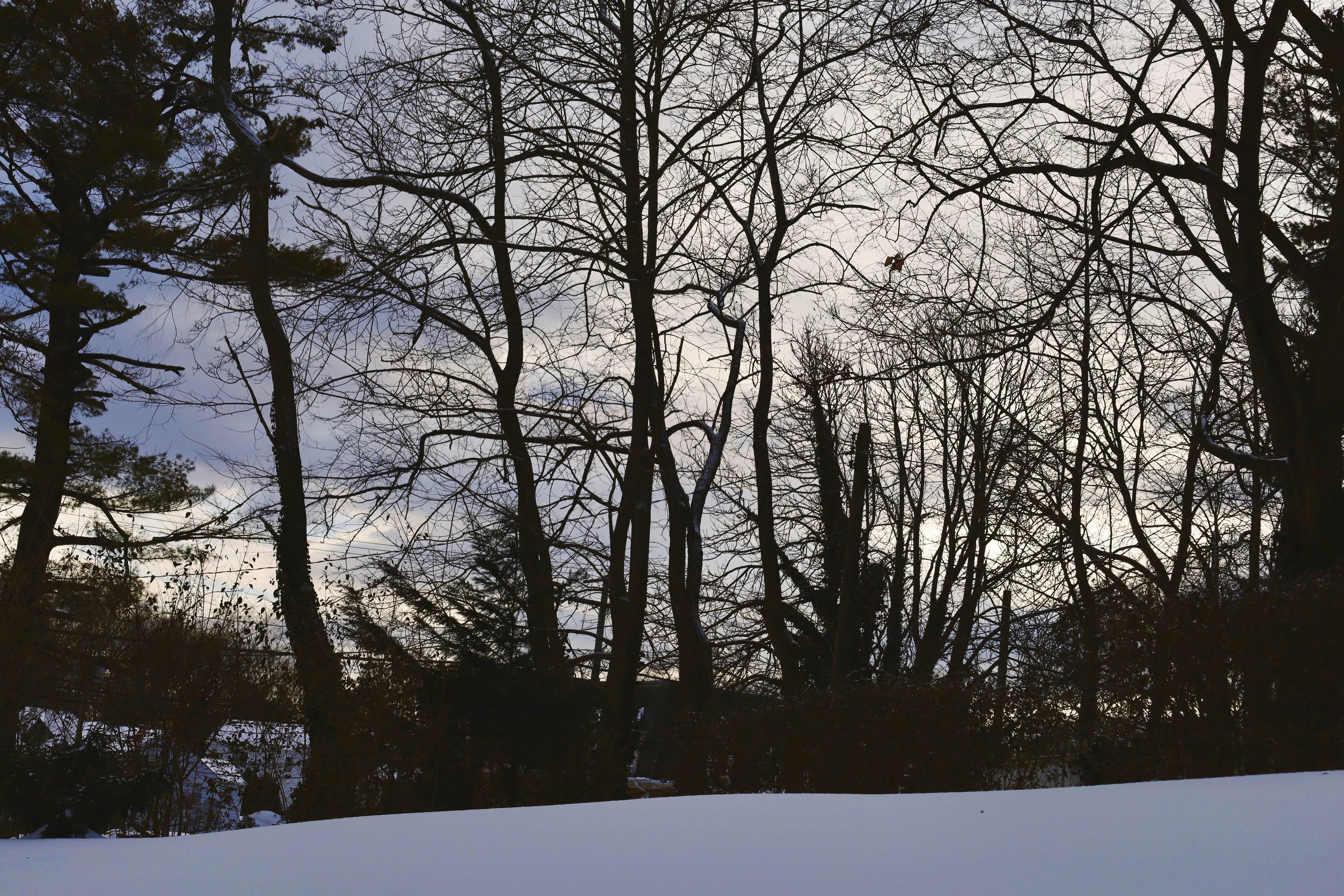 Photo by ananoelleeeee