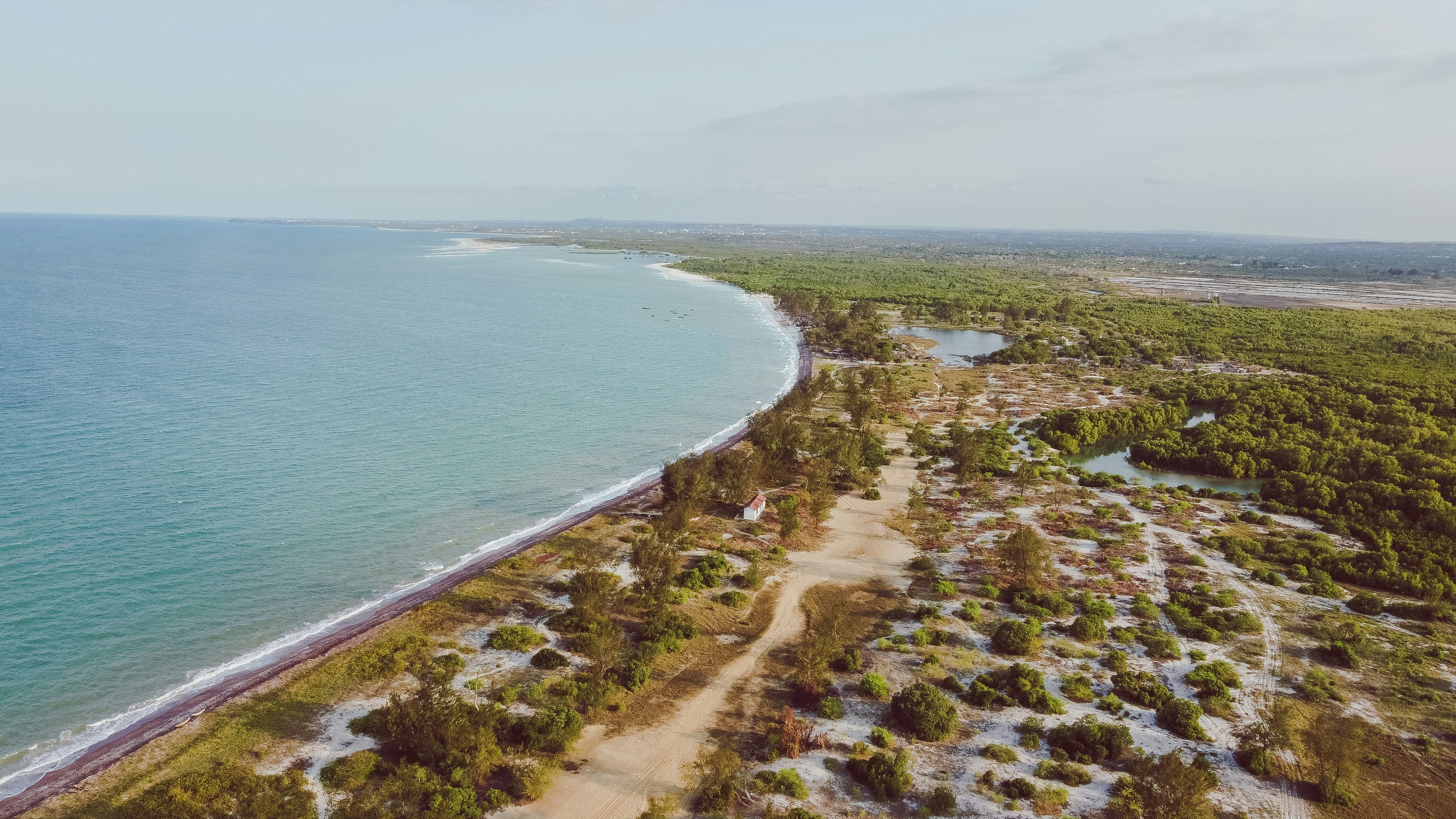 海と密林のある海岸風景