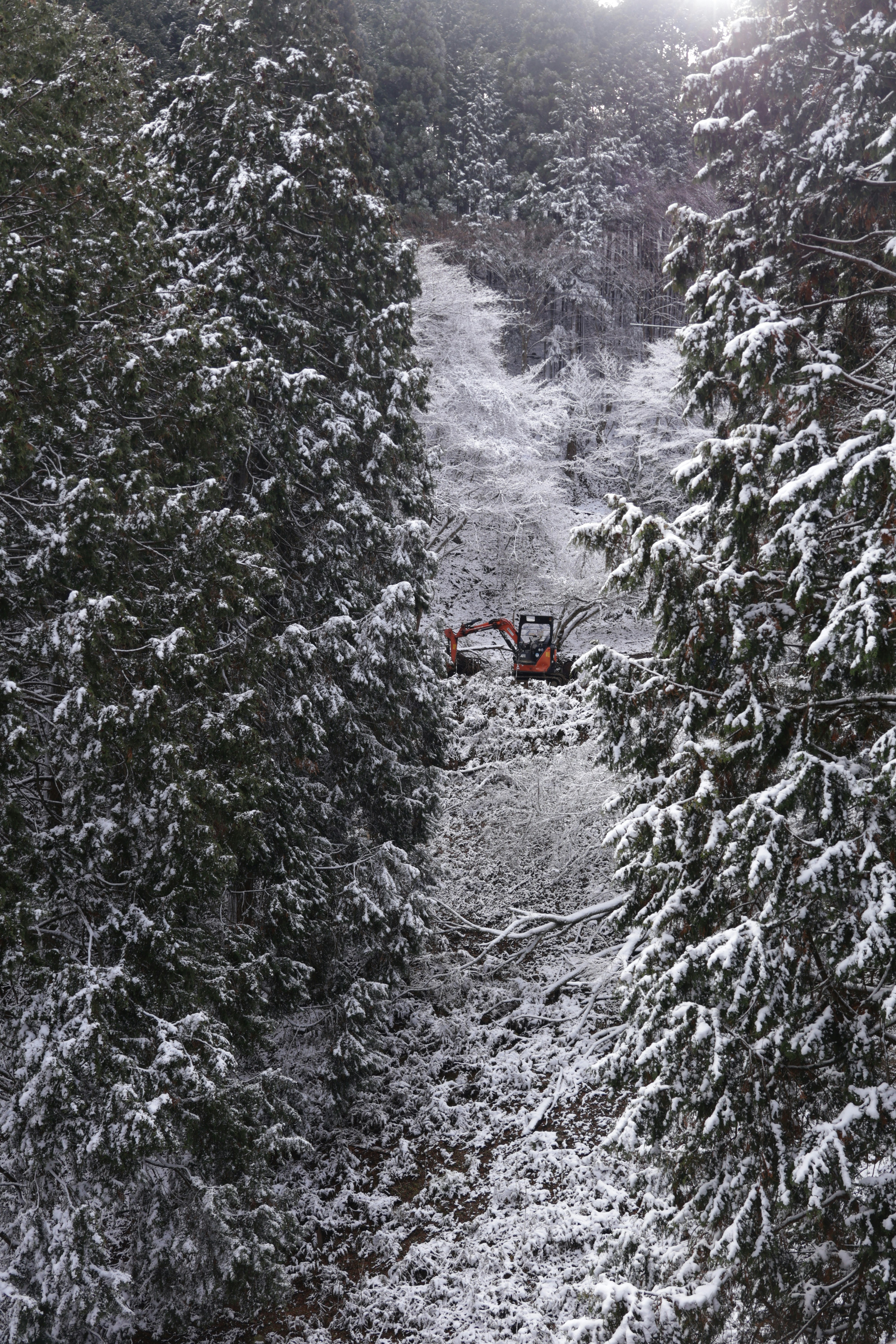 Excavator working on a snowy, wooded hillside