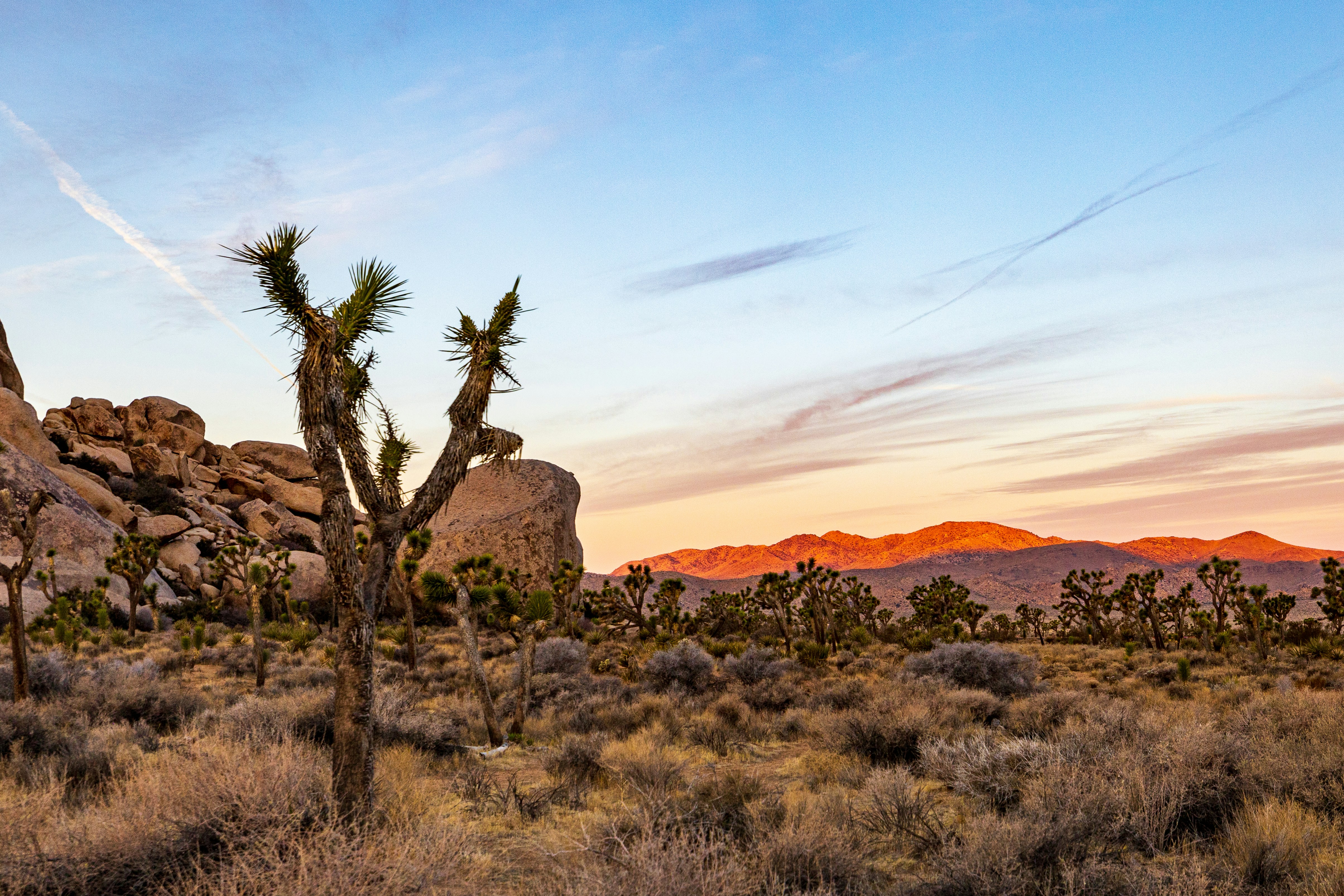 Photo by lancetraveler60