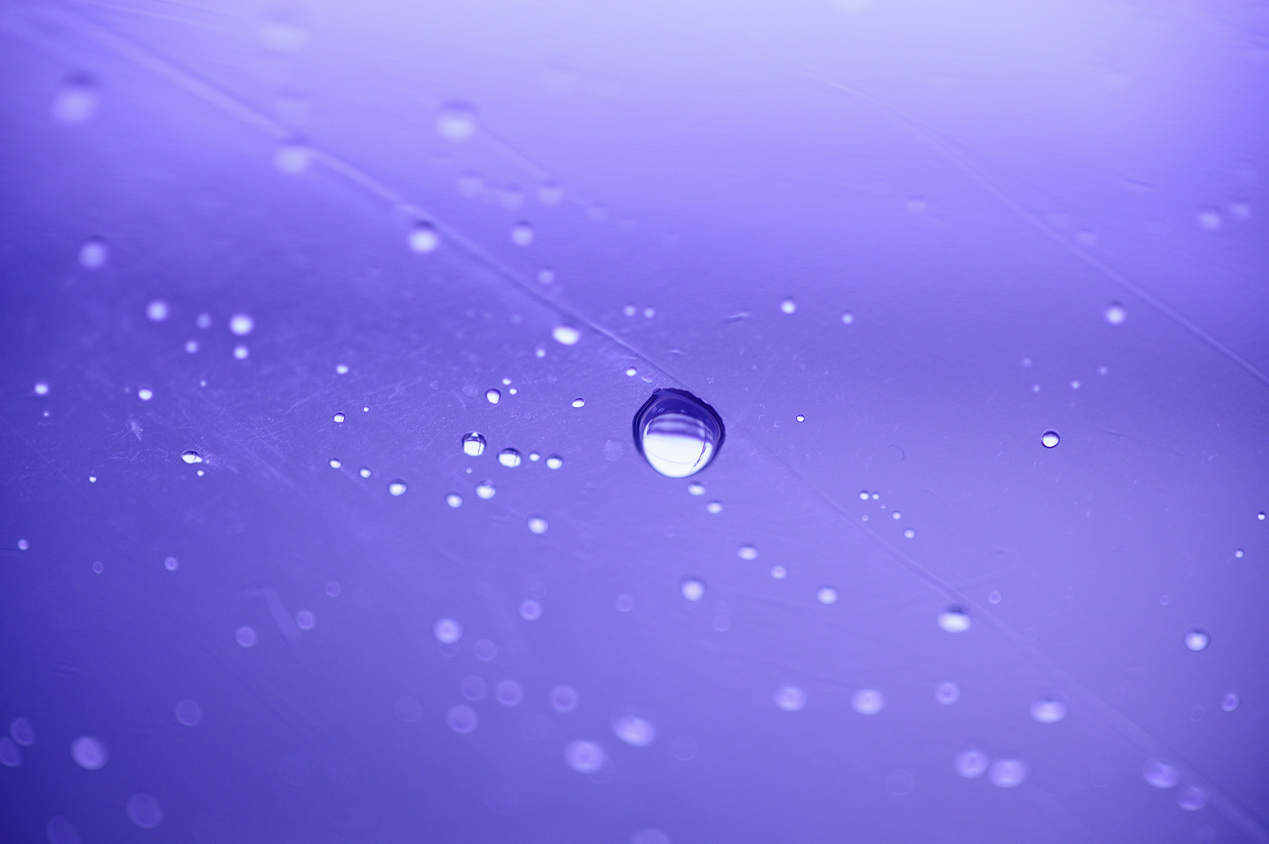 Gotas de agua sobre una telaraña con fondo morado