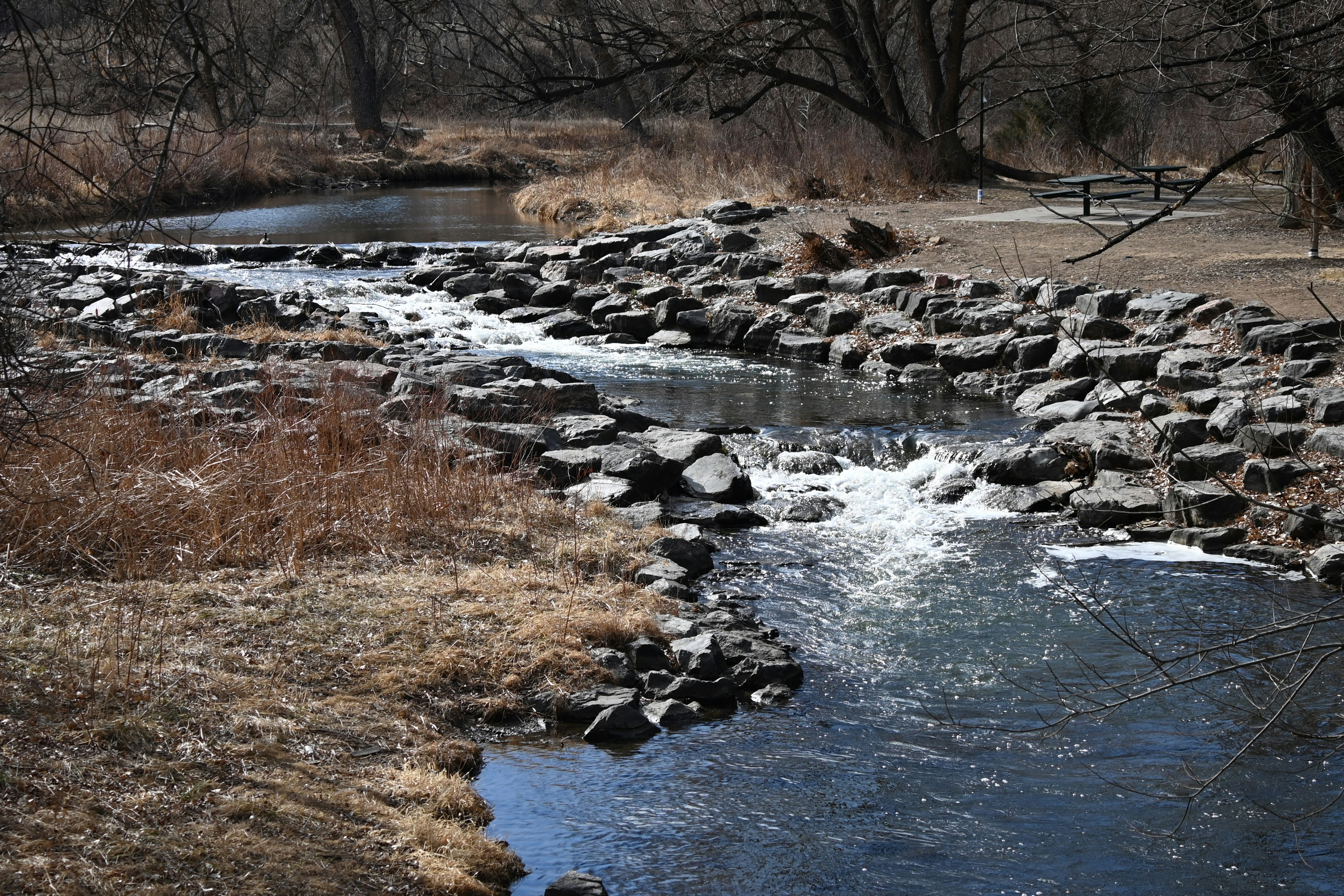 A rocky stream flows through a dry, grassy landscape.