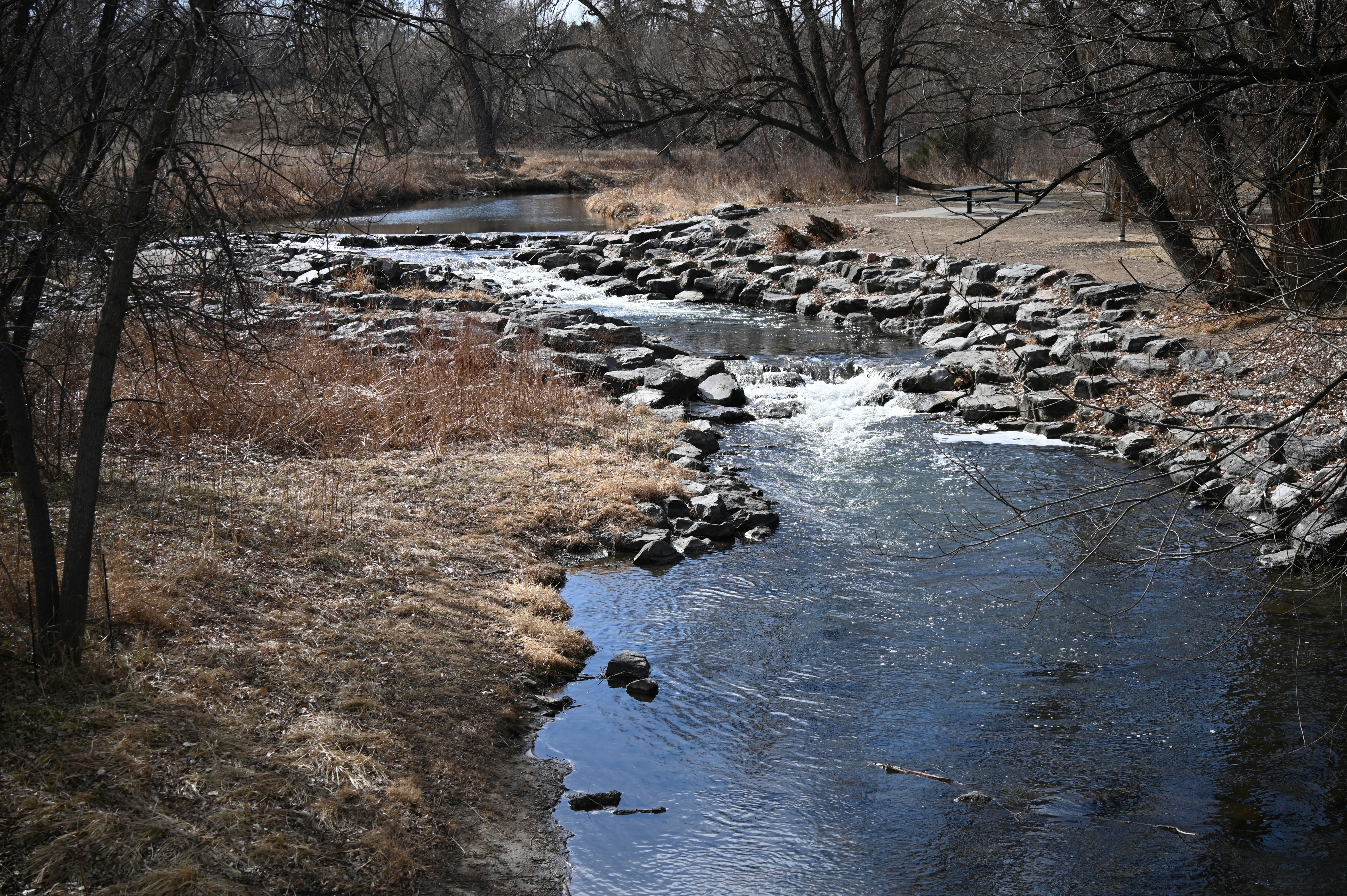 A stream flows through a rocky, wooded area.