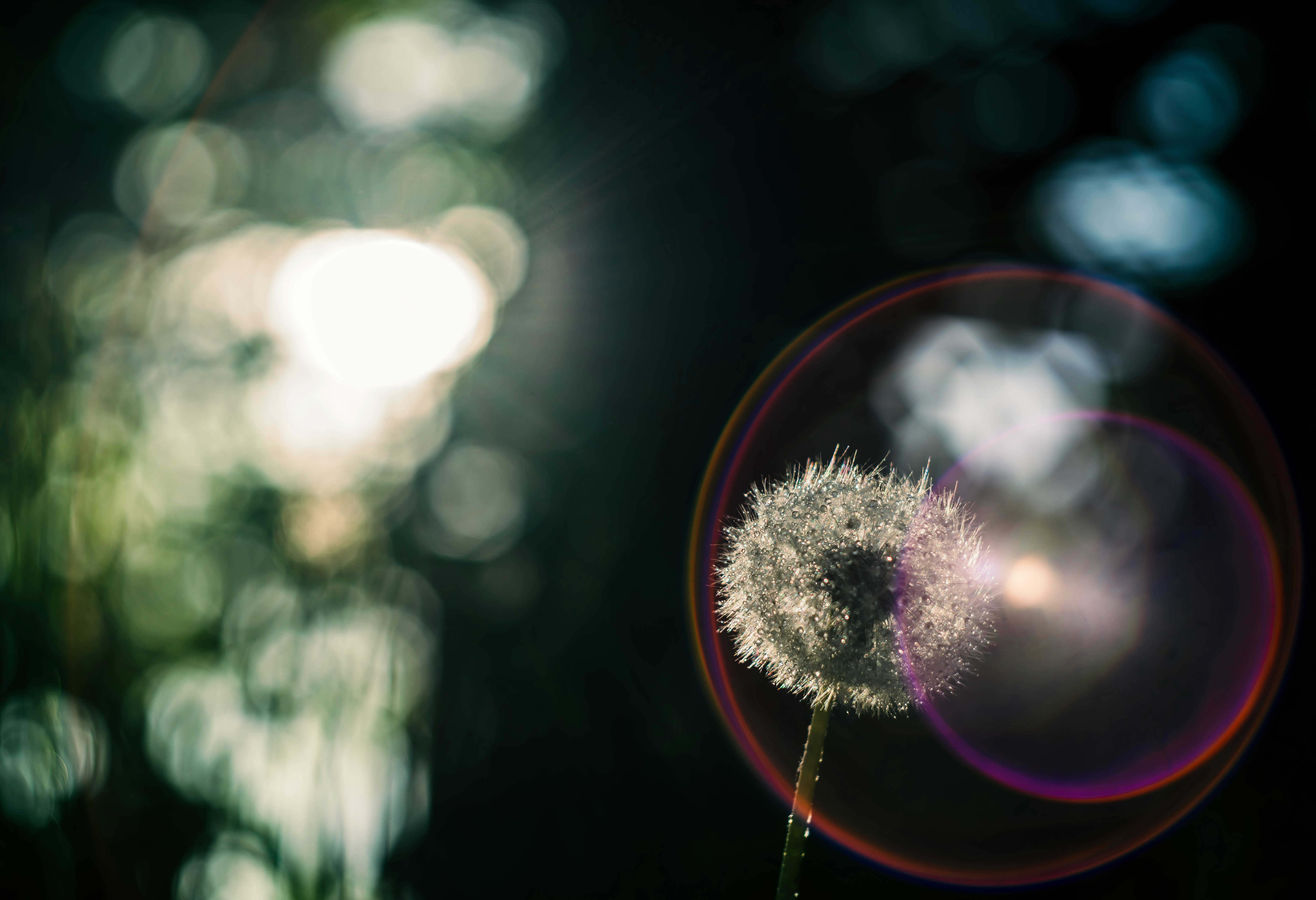 Photo by carolgauthier