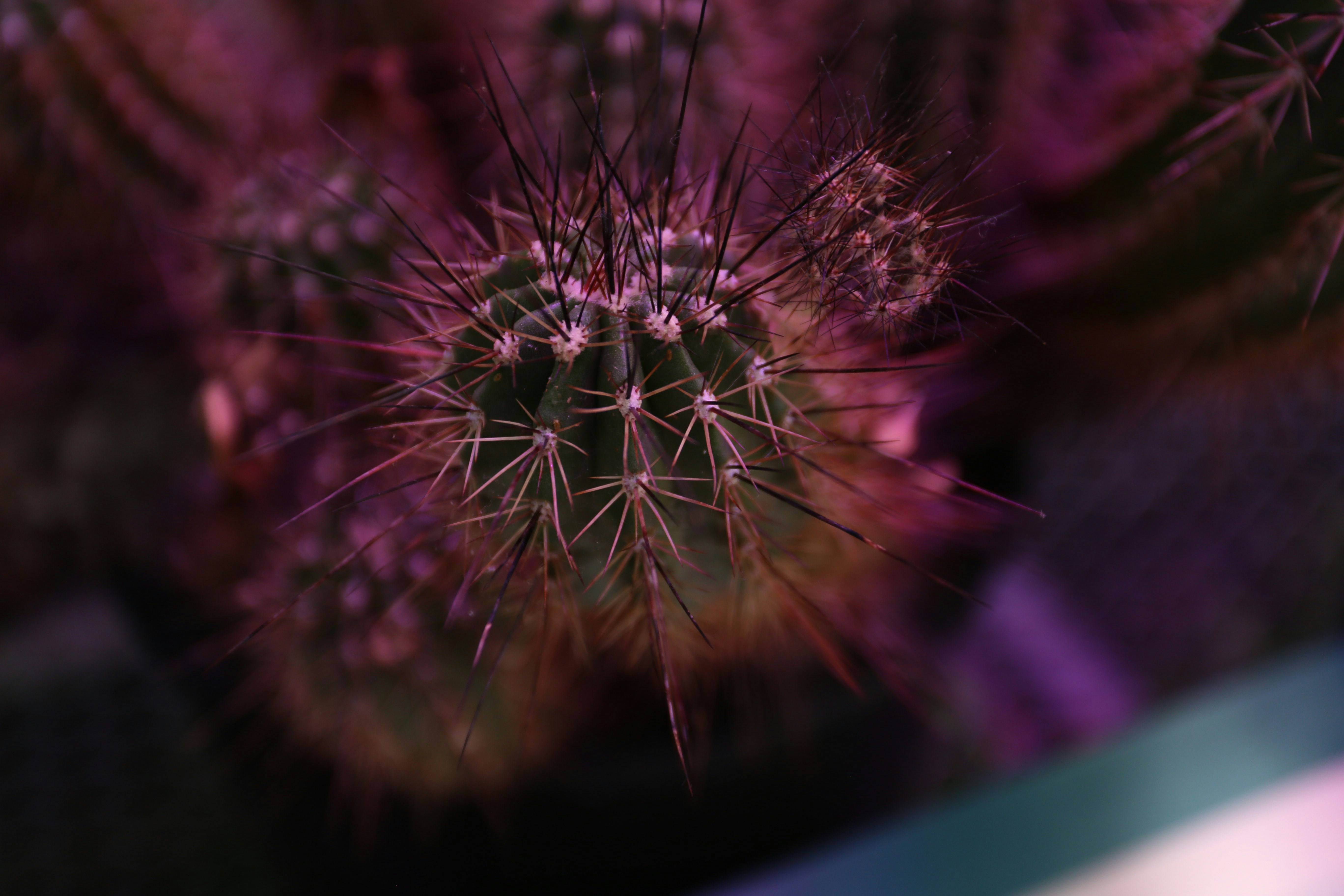 Photo by jhaverimehek