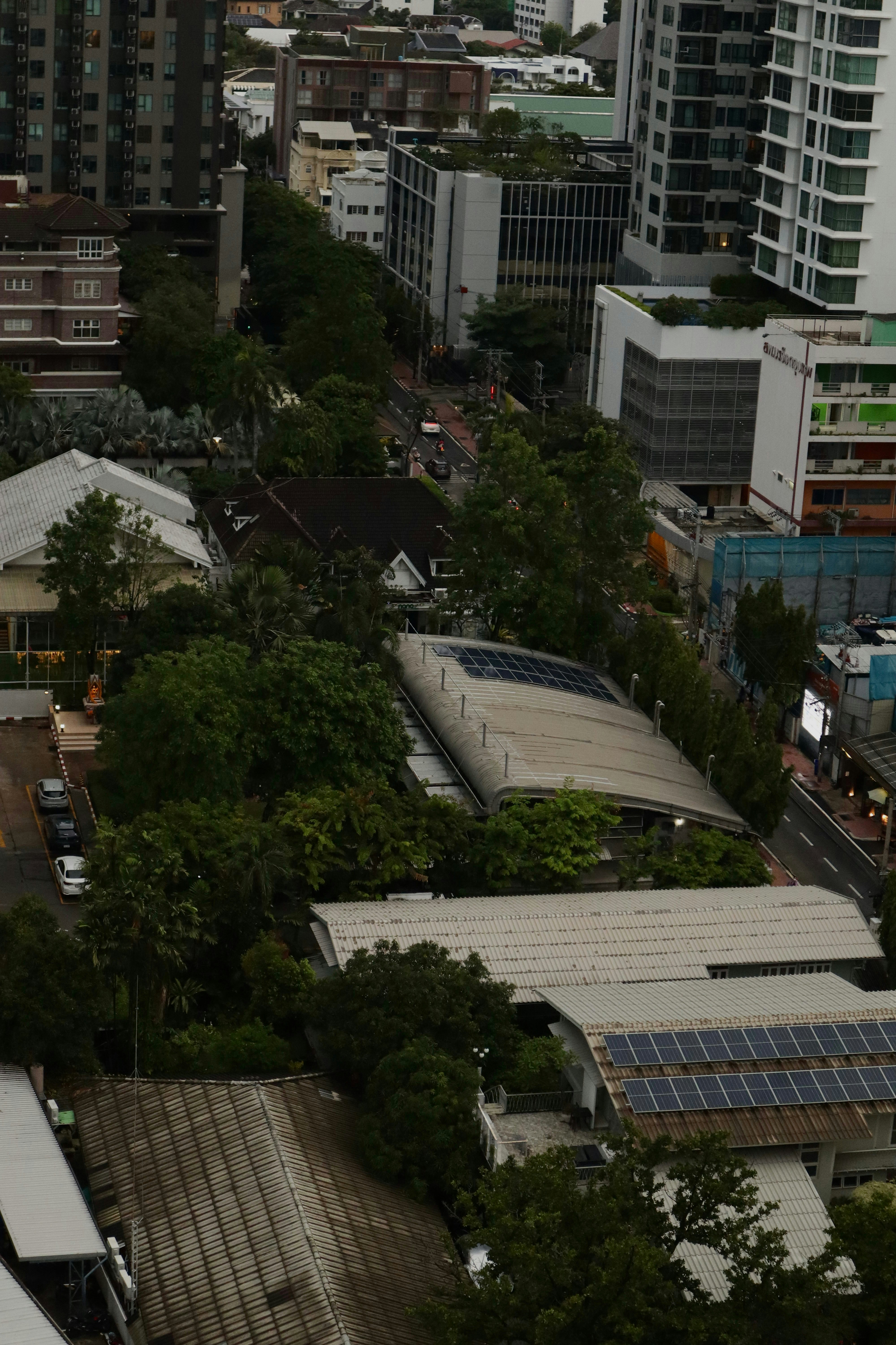 Dense urban greenery interspersed with modern buildings.