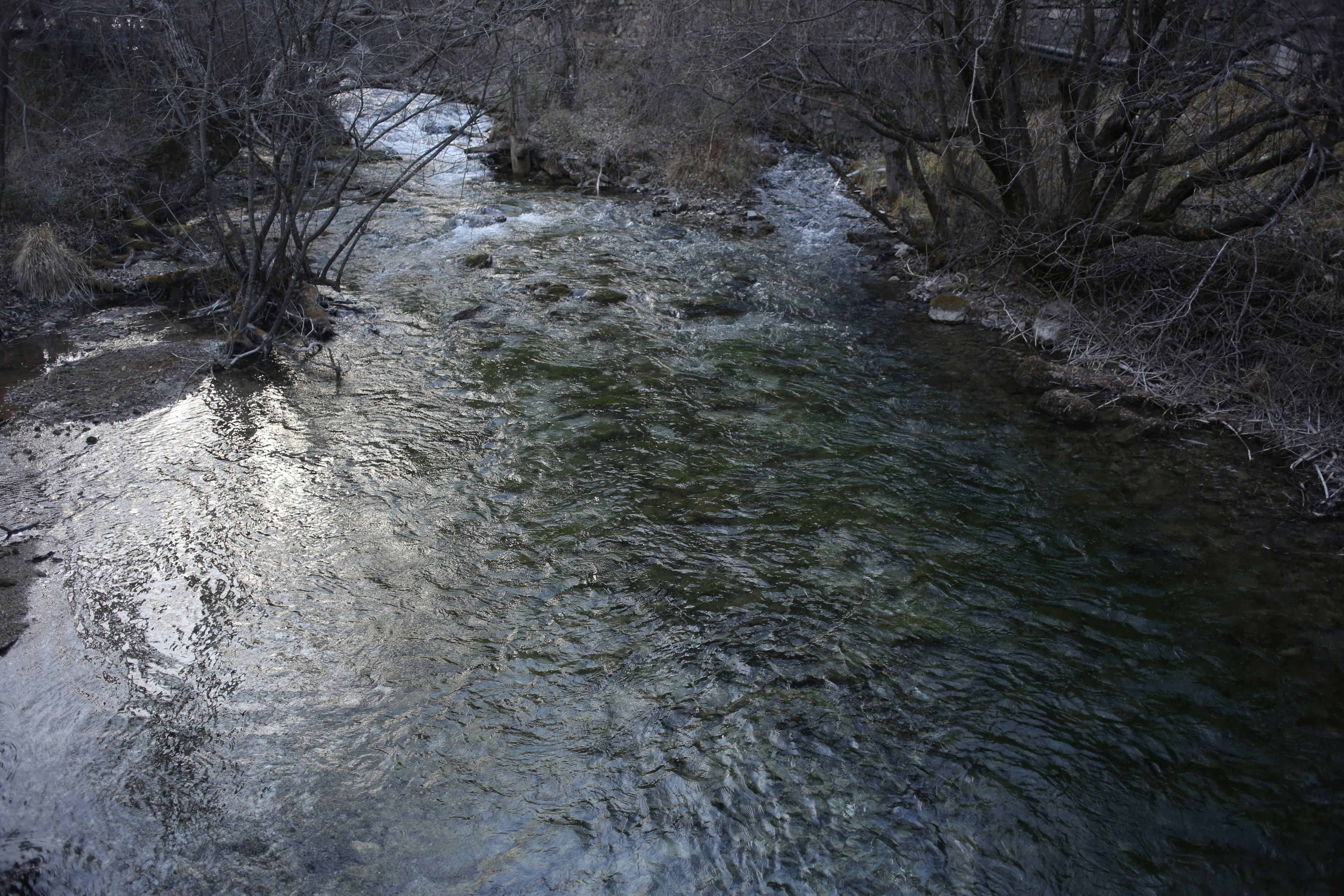 A clear stream flows through a wooded area.