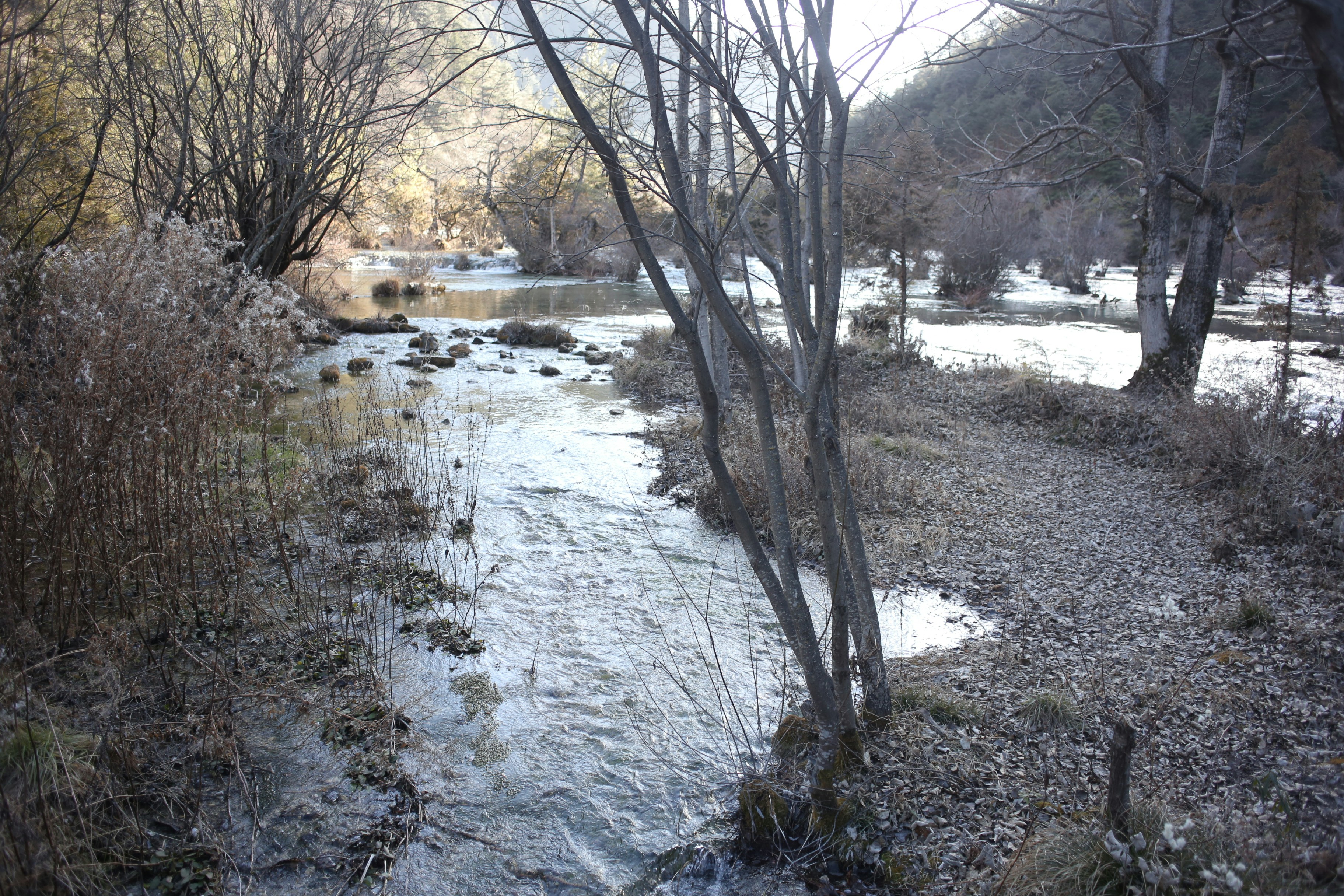 A cold stream flows through a barren winter landscape